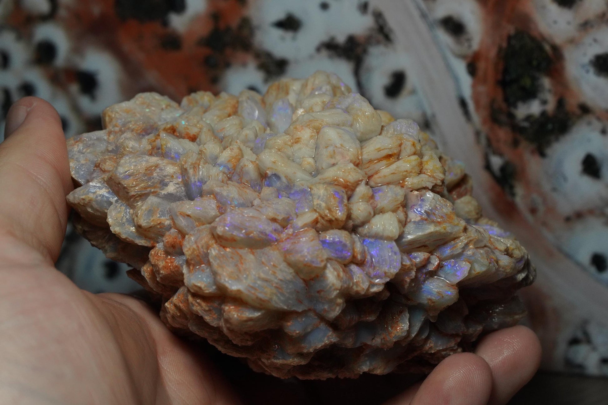 Opal Pineapple