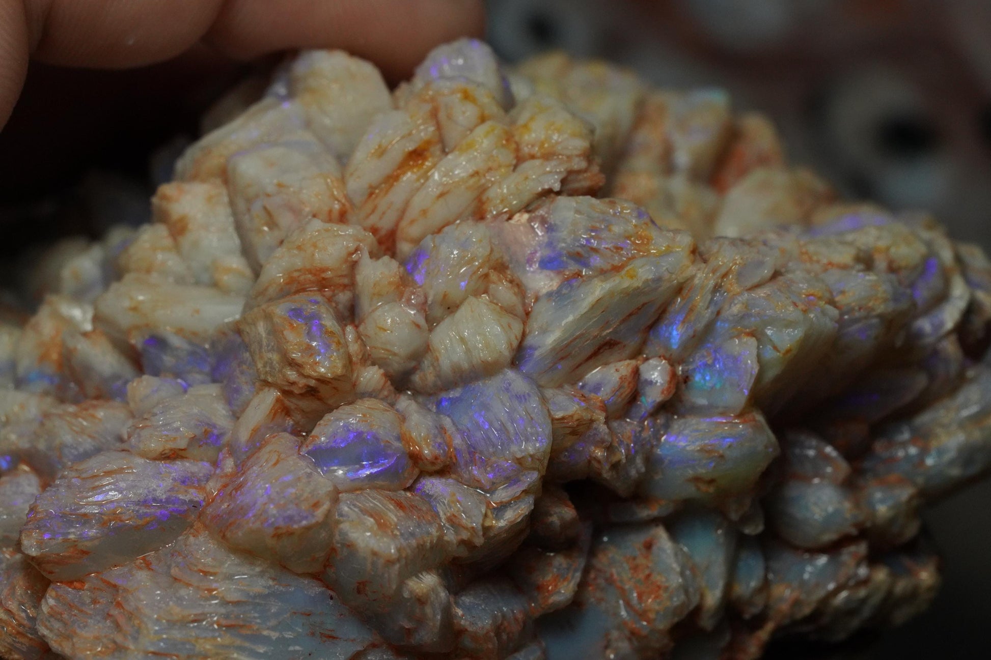 Opal Pineapple