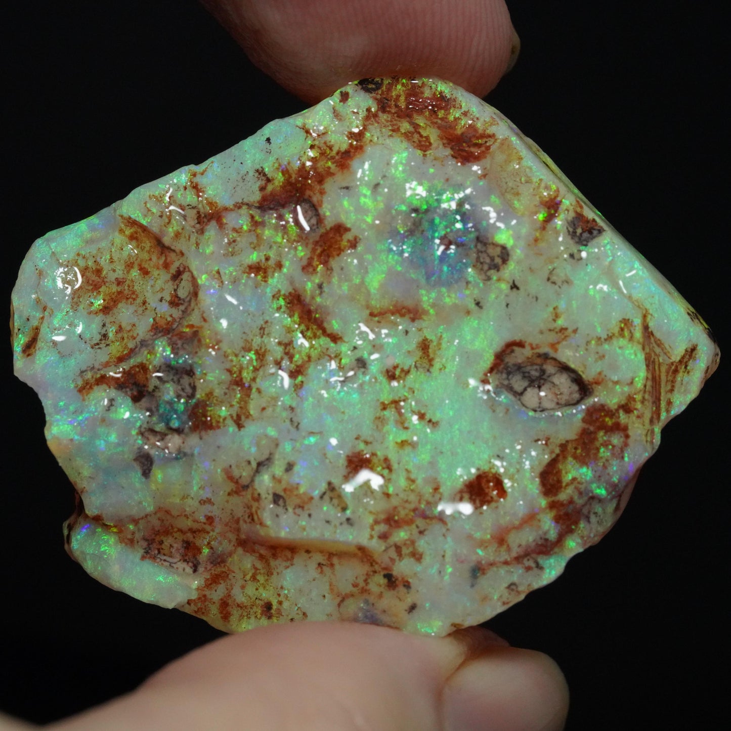 Australian Rough Opal