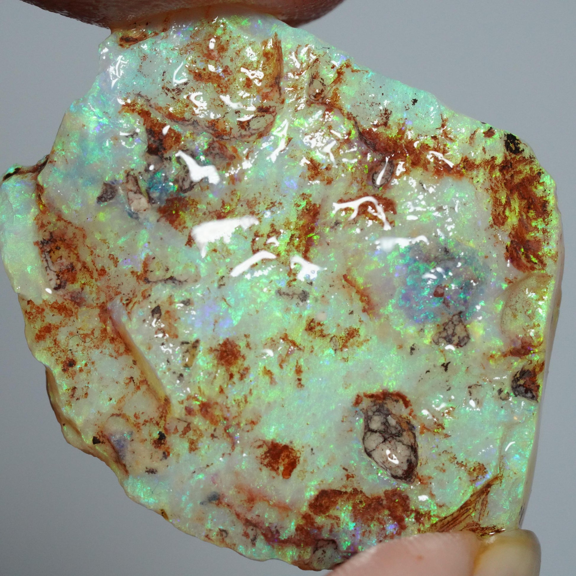 Australian Rough Opal