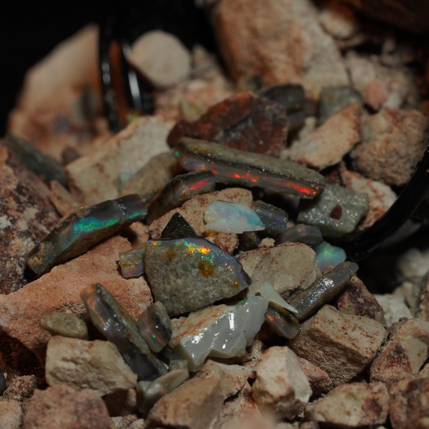 Opal Hunters Paydirt Bucket!