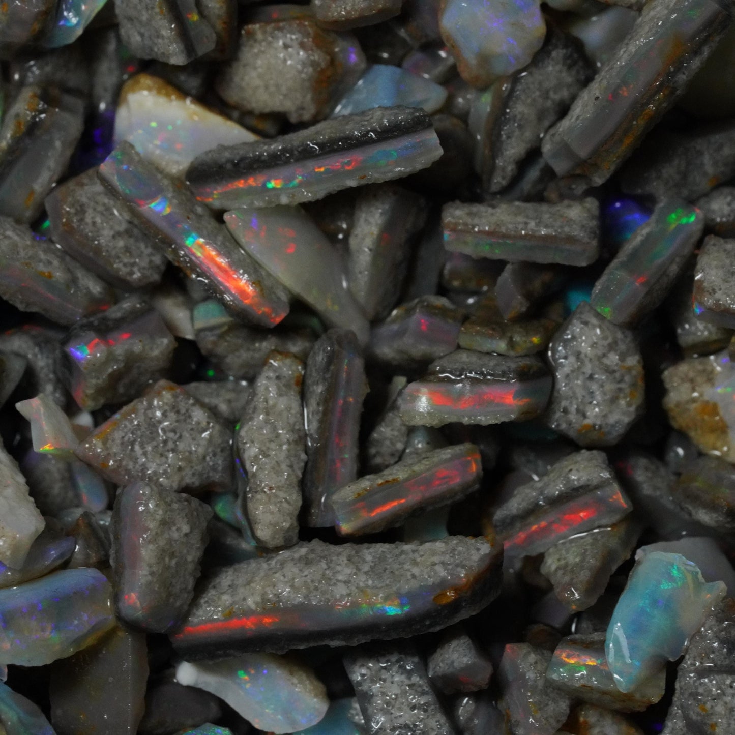 Opal Hunters Paydirt Bucket!