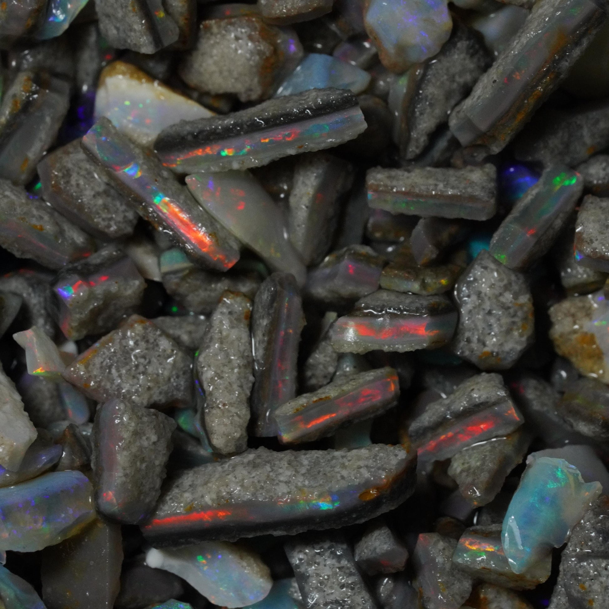 Opal Hunters Paydirt Bucket!