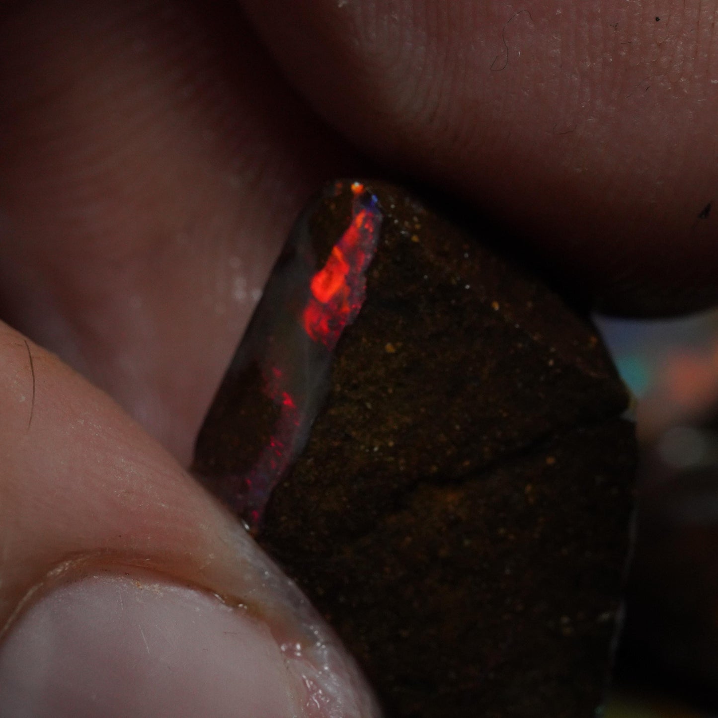 Australian Rough Opal