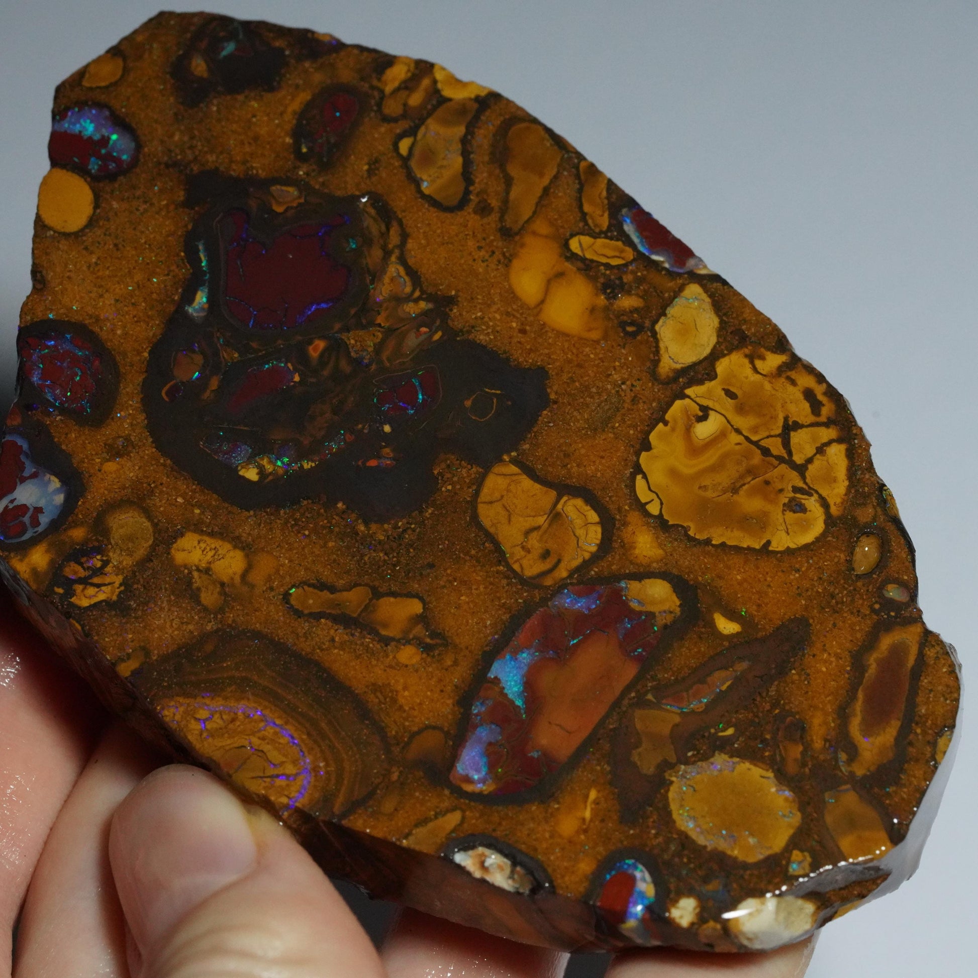 Boulder Opal Slab