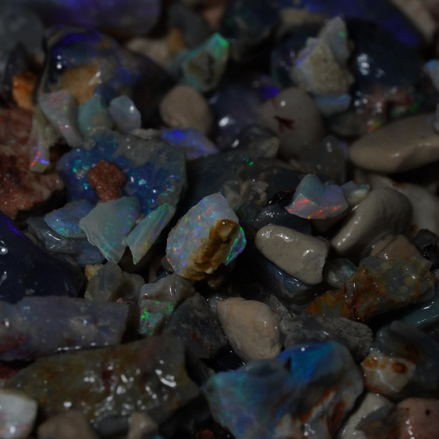 Lightning Ridge Opal Hunters Paydirt / Opal Paydirt