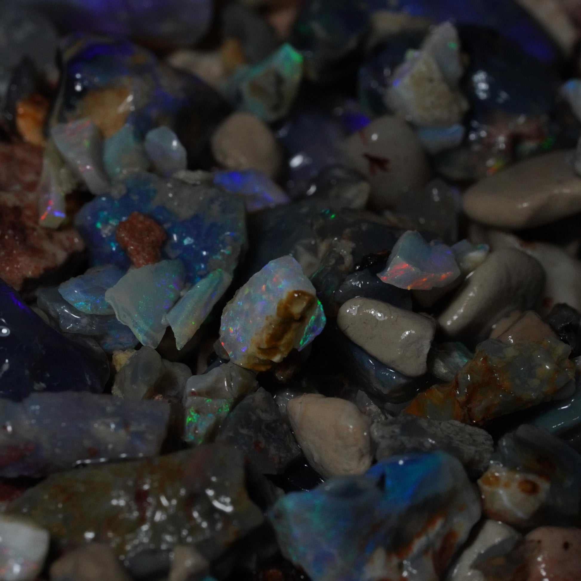 Lightning Ridge Opal Hunters Paydirt / Opal Paydirt