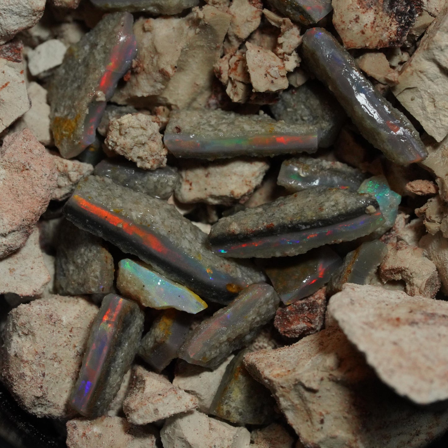 Opal Hunters Paydirt Bucket!