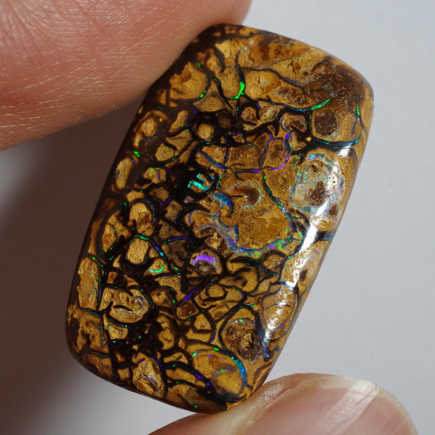 Boulder Opal Cut Stone