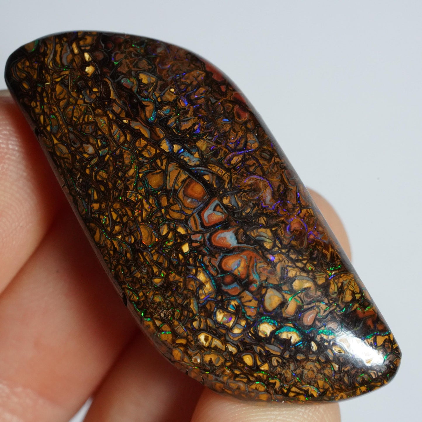 Boulder Opal Cut Stone