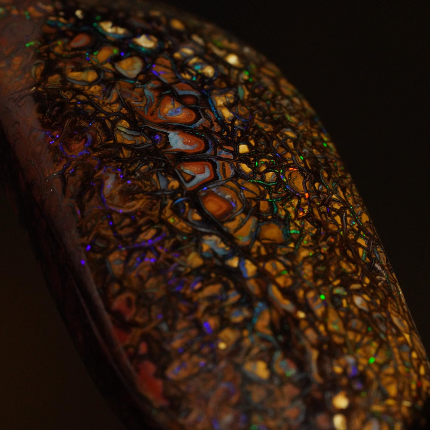 Boulder Opal Cut Stone