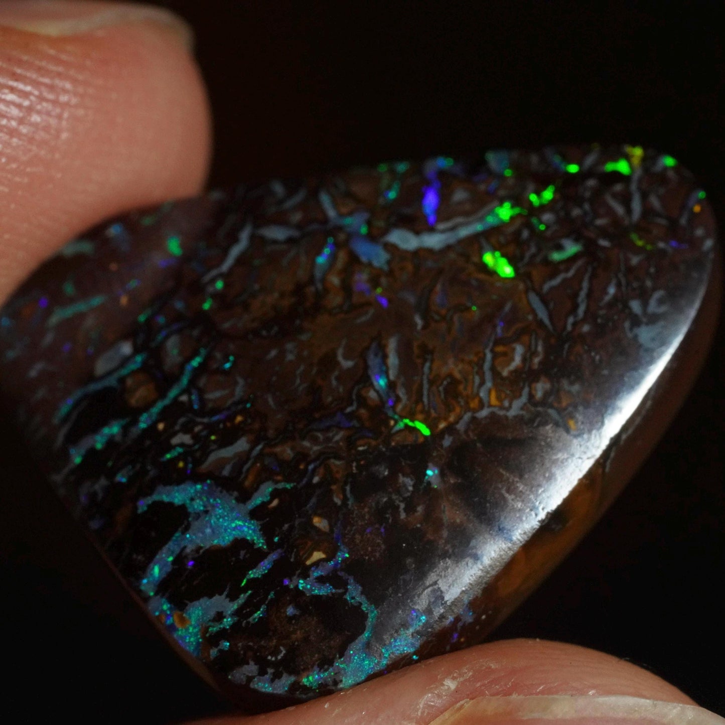 Boulder Opal Cut Stone