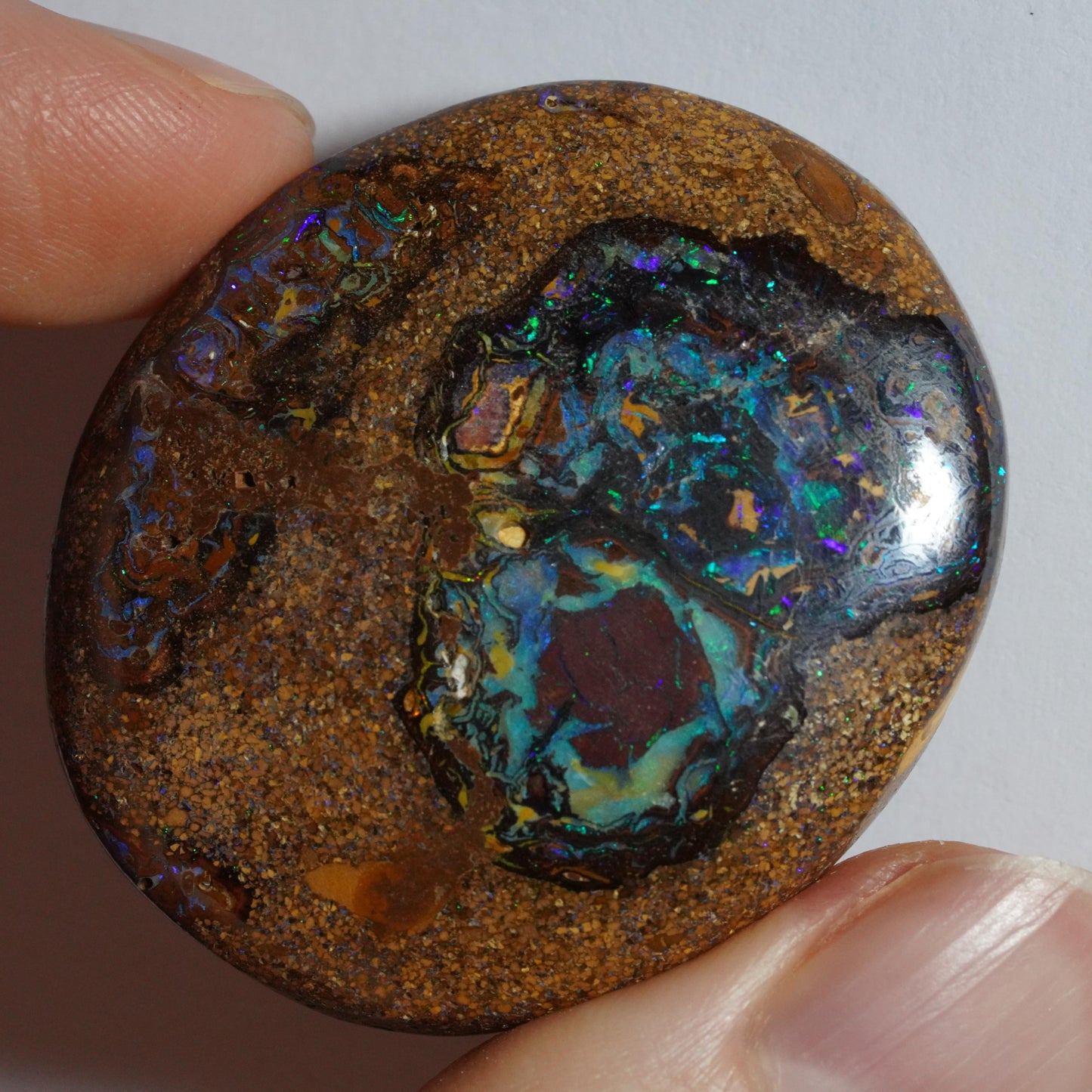 Boulder Opal Cut Stone