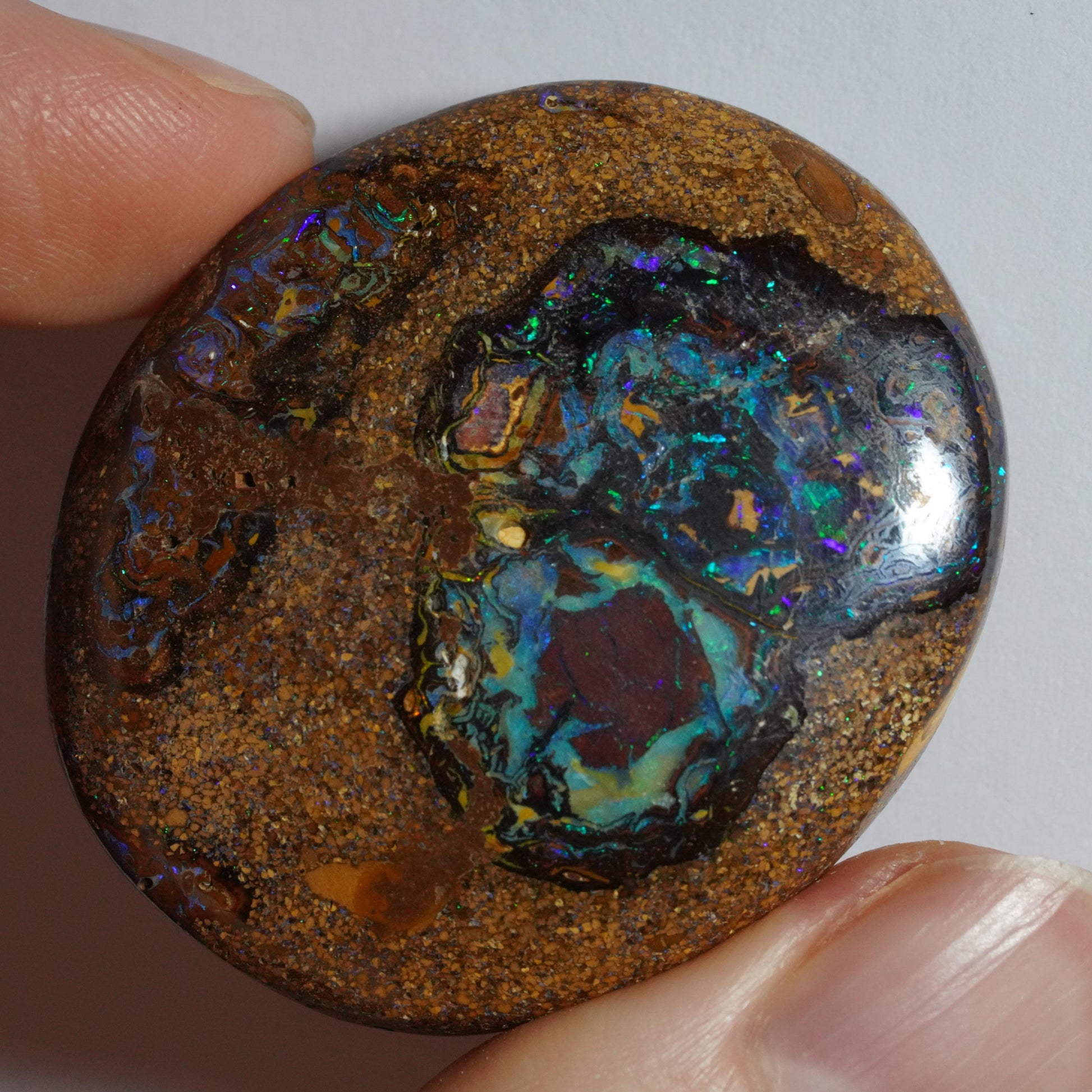 Boulder Opal Cut Stone