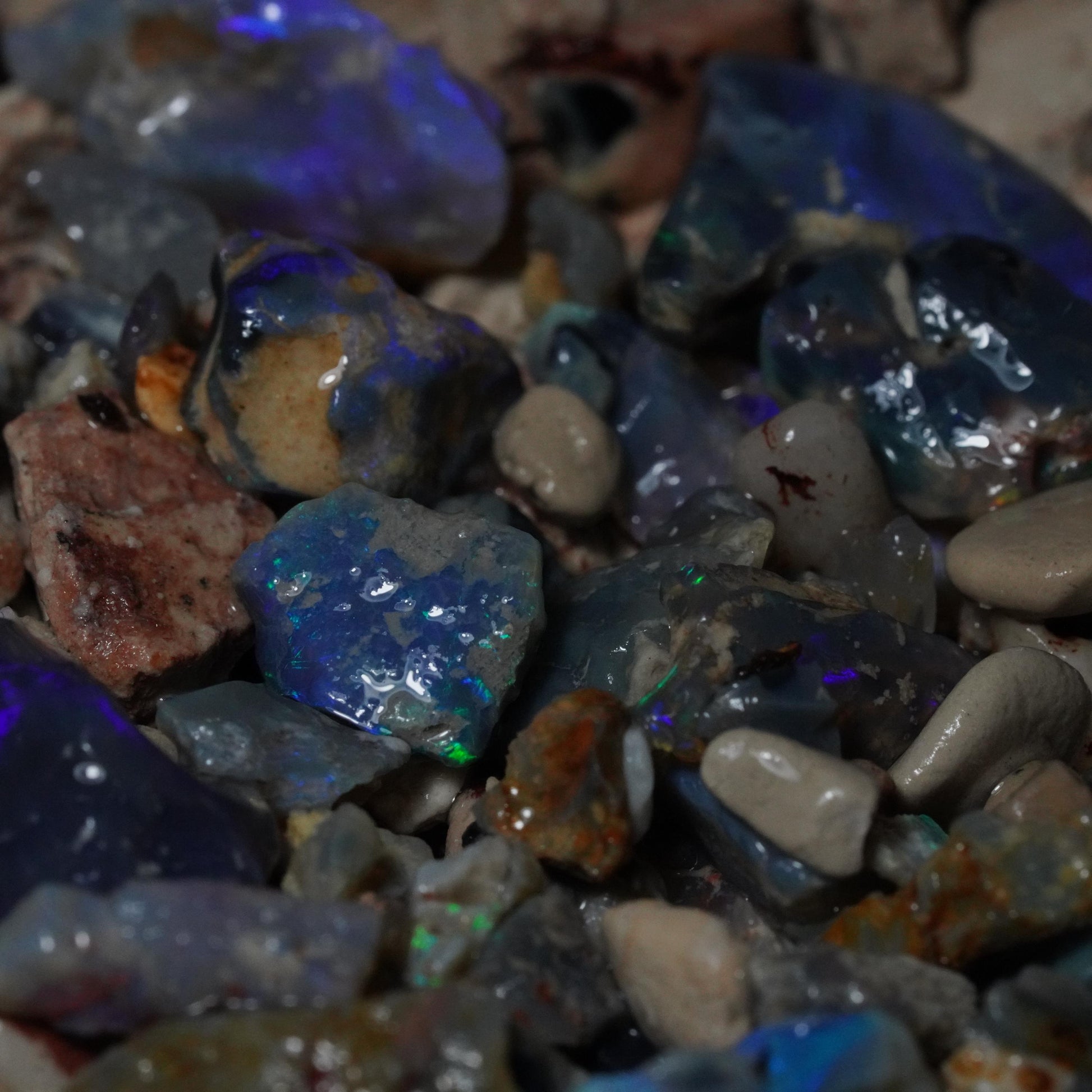 Lightning Ridge Opal Hunters Paydirt / Opal Paydirt