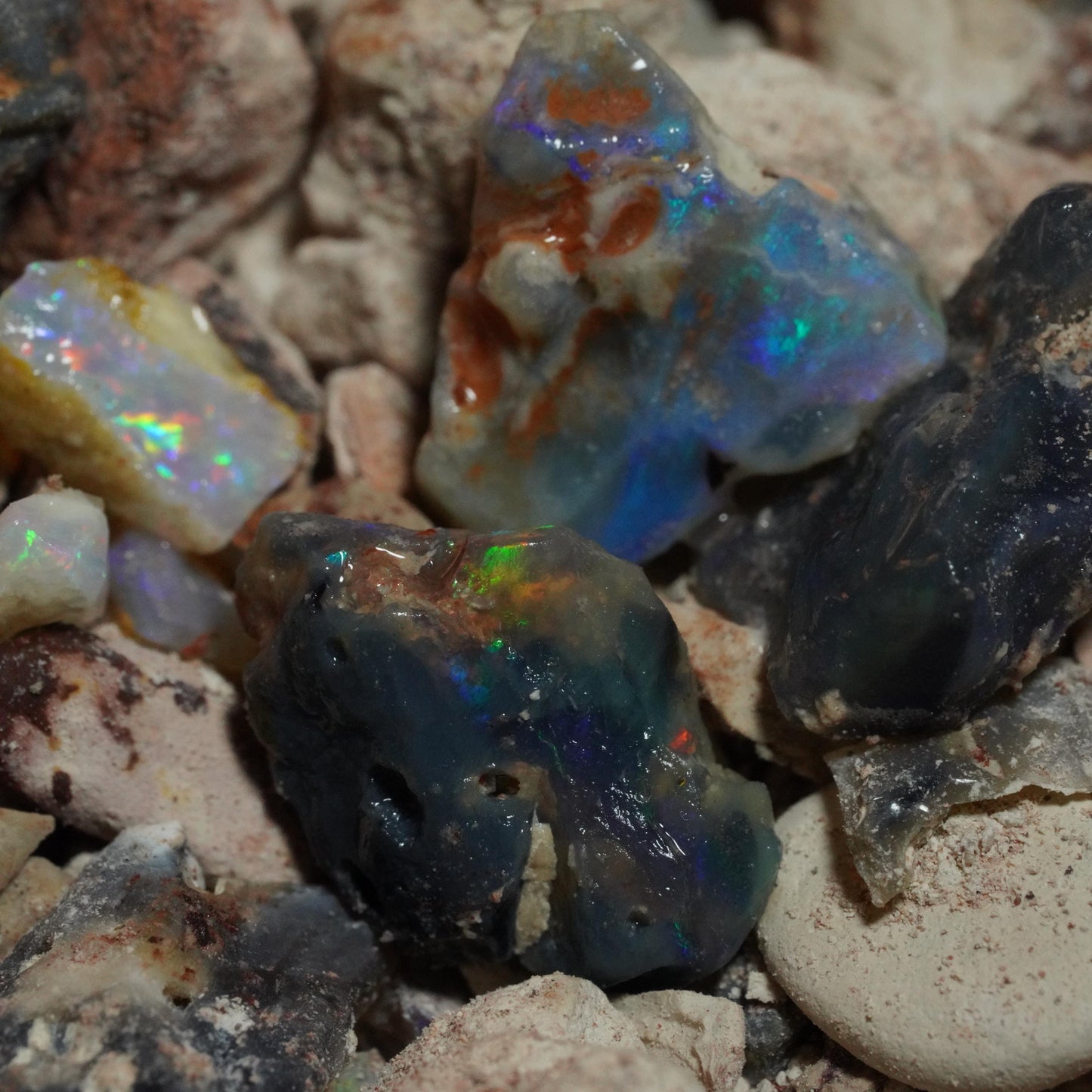Lightning Ridge Opal Hunters Paydirt / Opal Paydirt