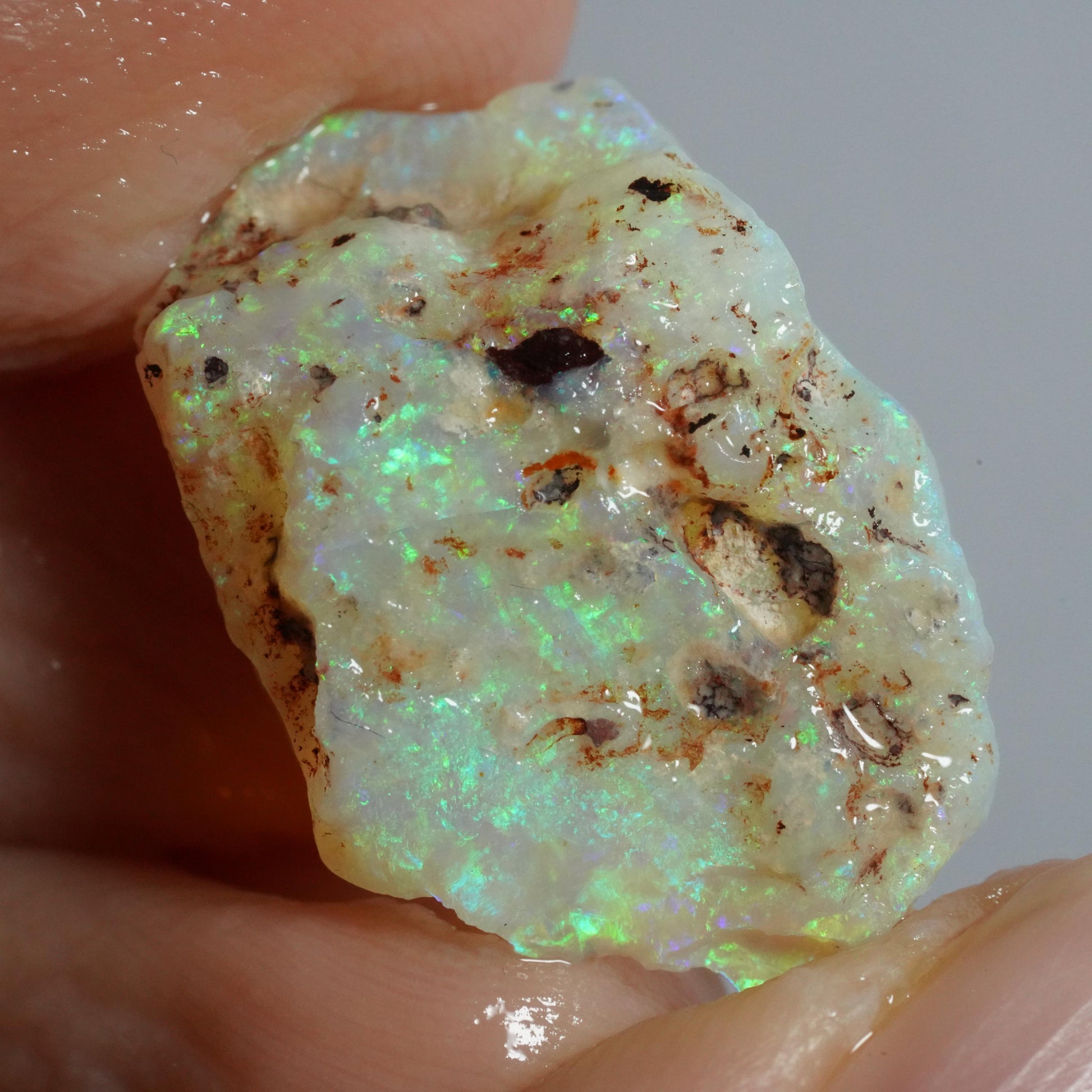 Australian Rough Opal