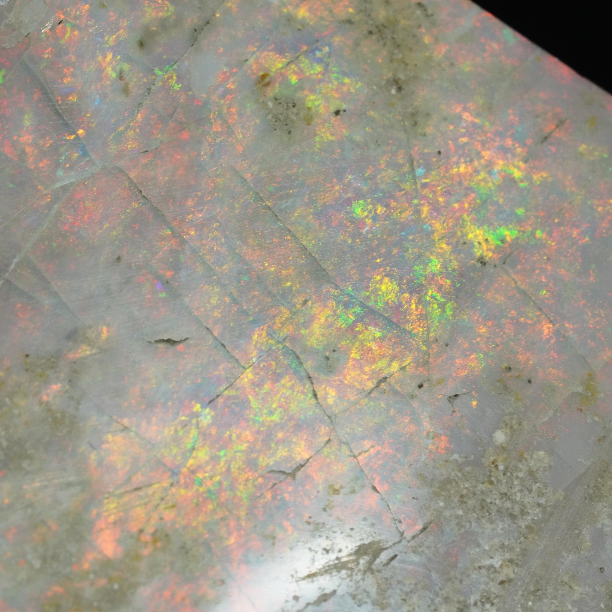 Opal Specimen