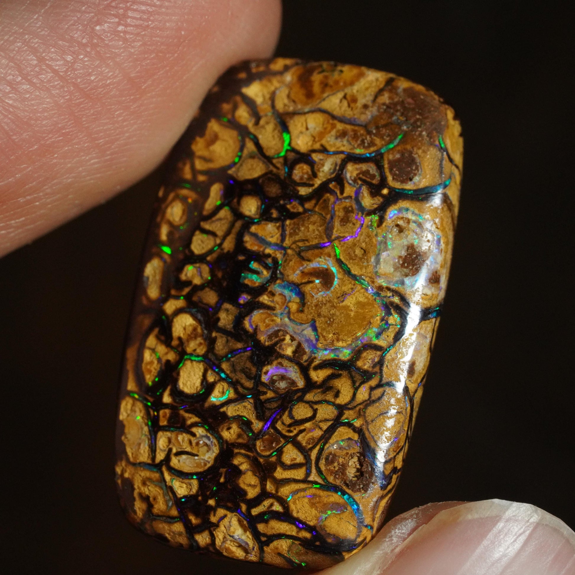 Boulder Opal Cut Stone