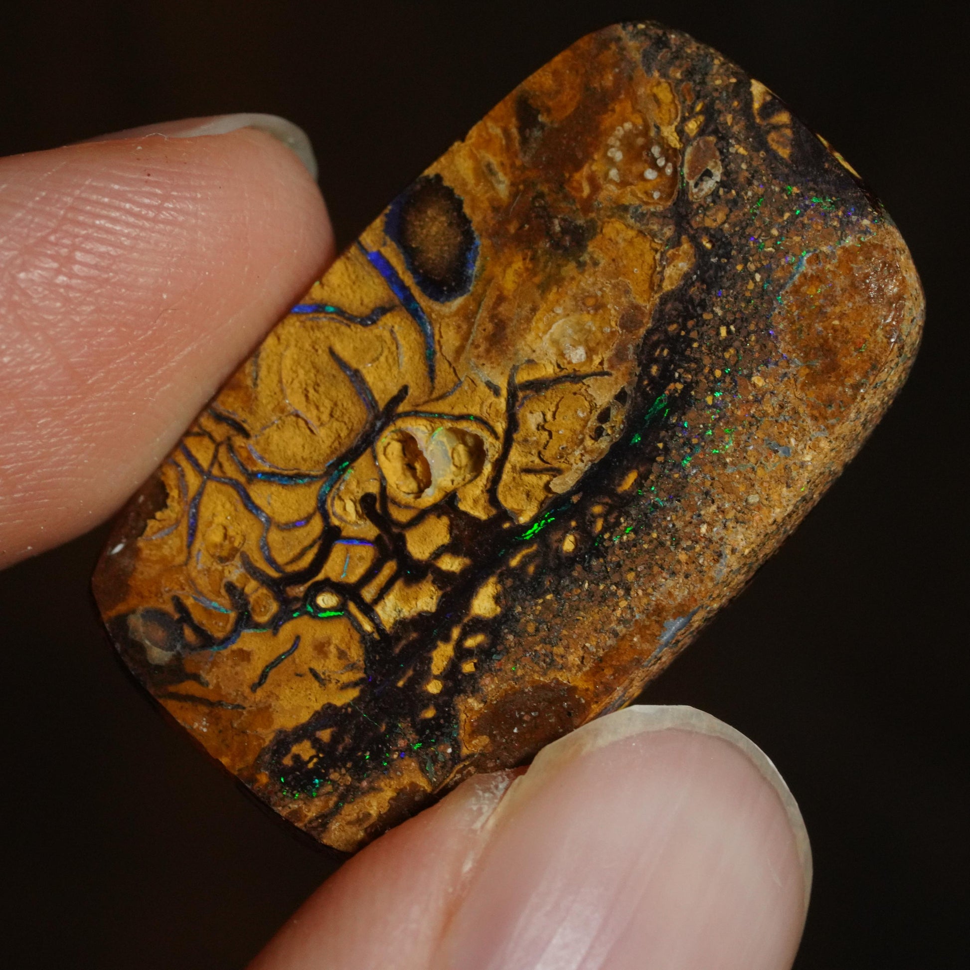 Boulder Opal Cut Stone