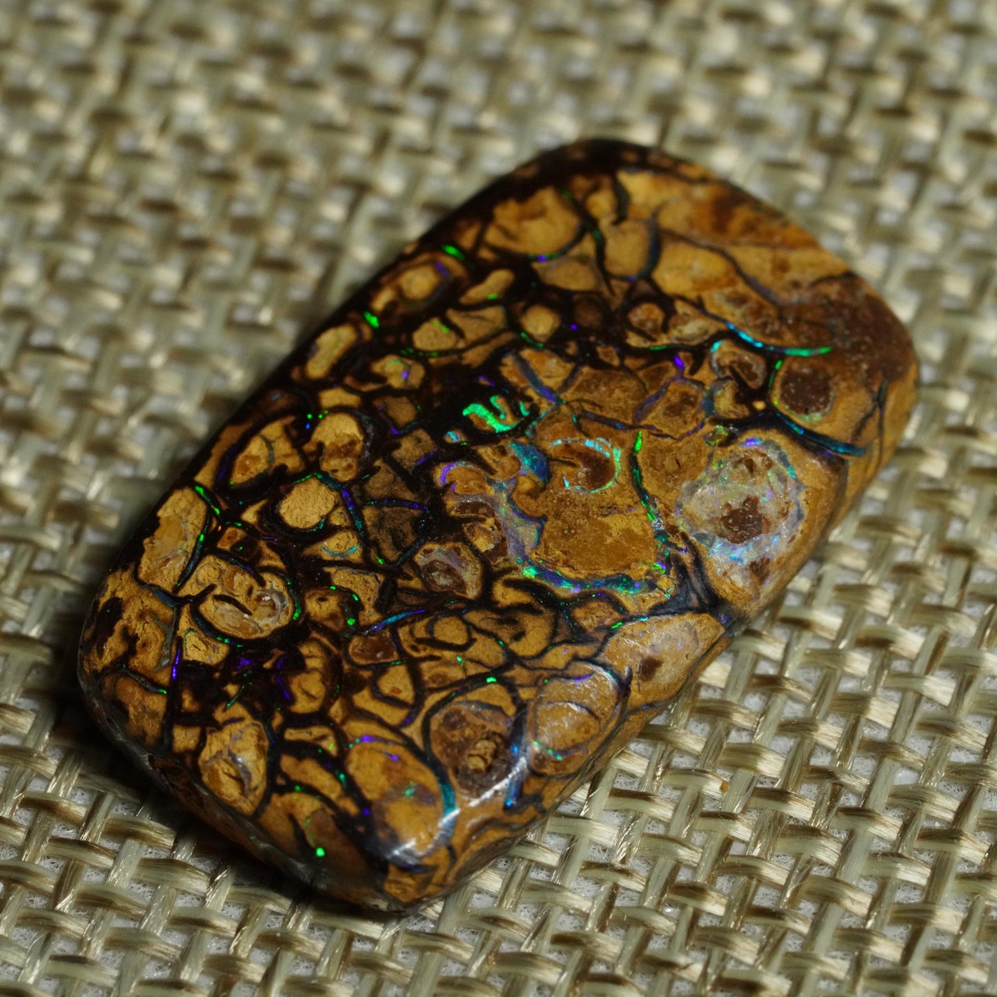 Boulder Opal Cut Stone