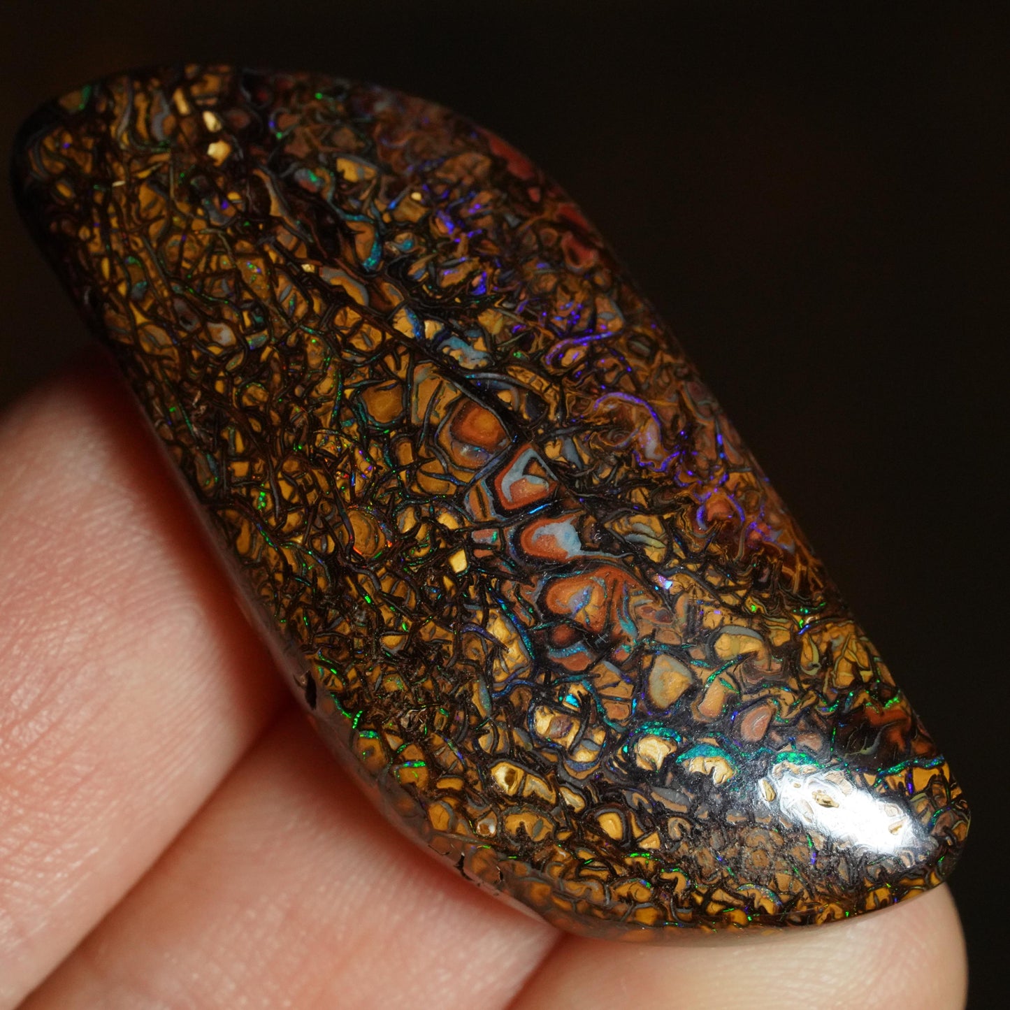 Boulder Opal Cut Stone