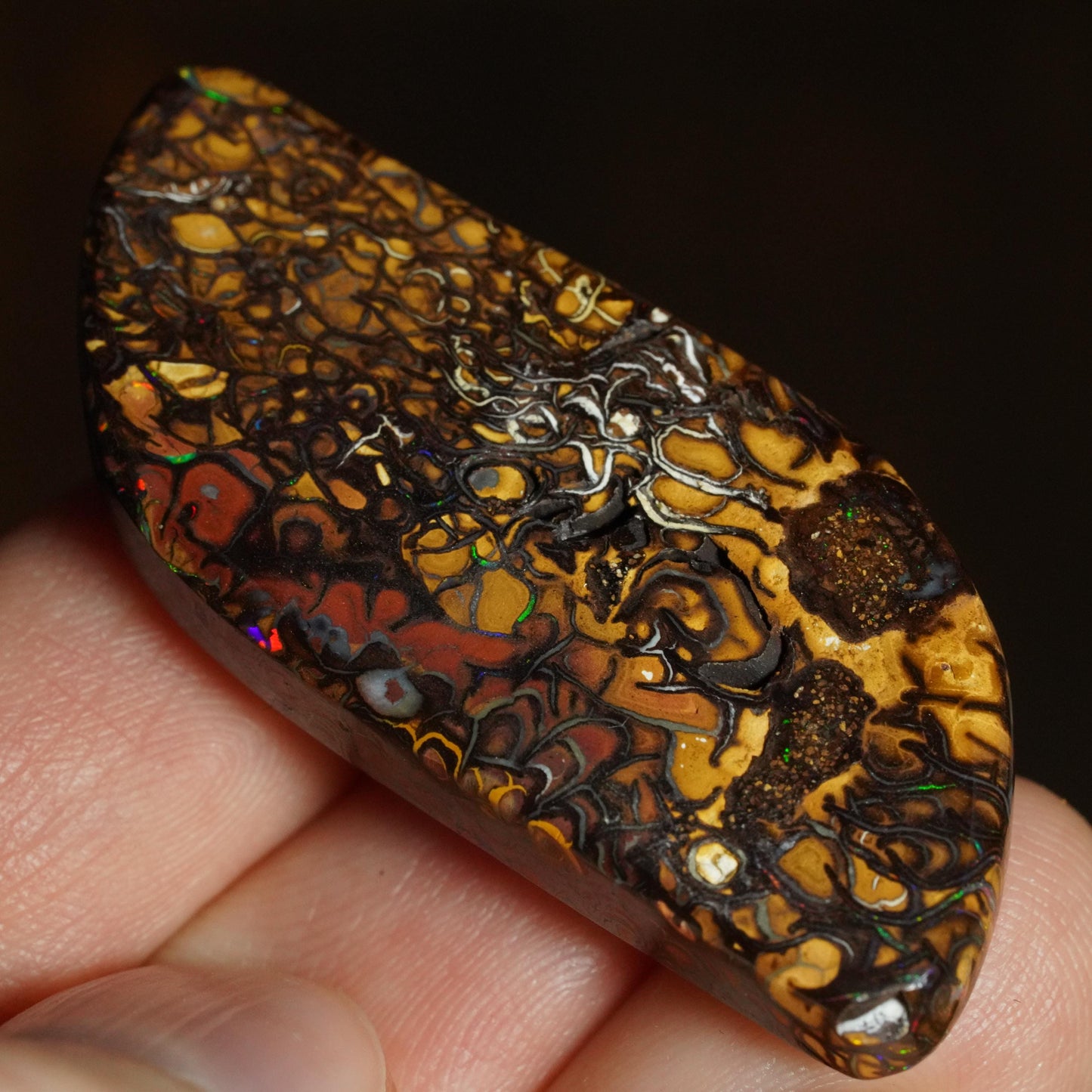 Boulder Opal Cut Stone