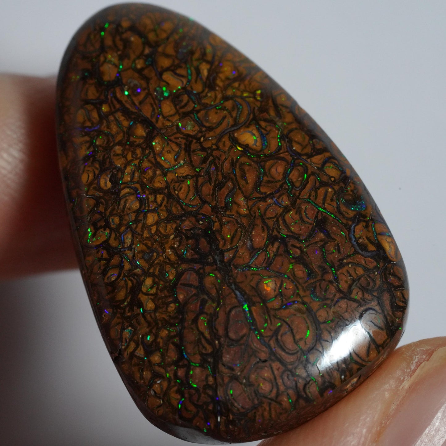 Boulder Opal Cut Stone