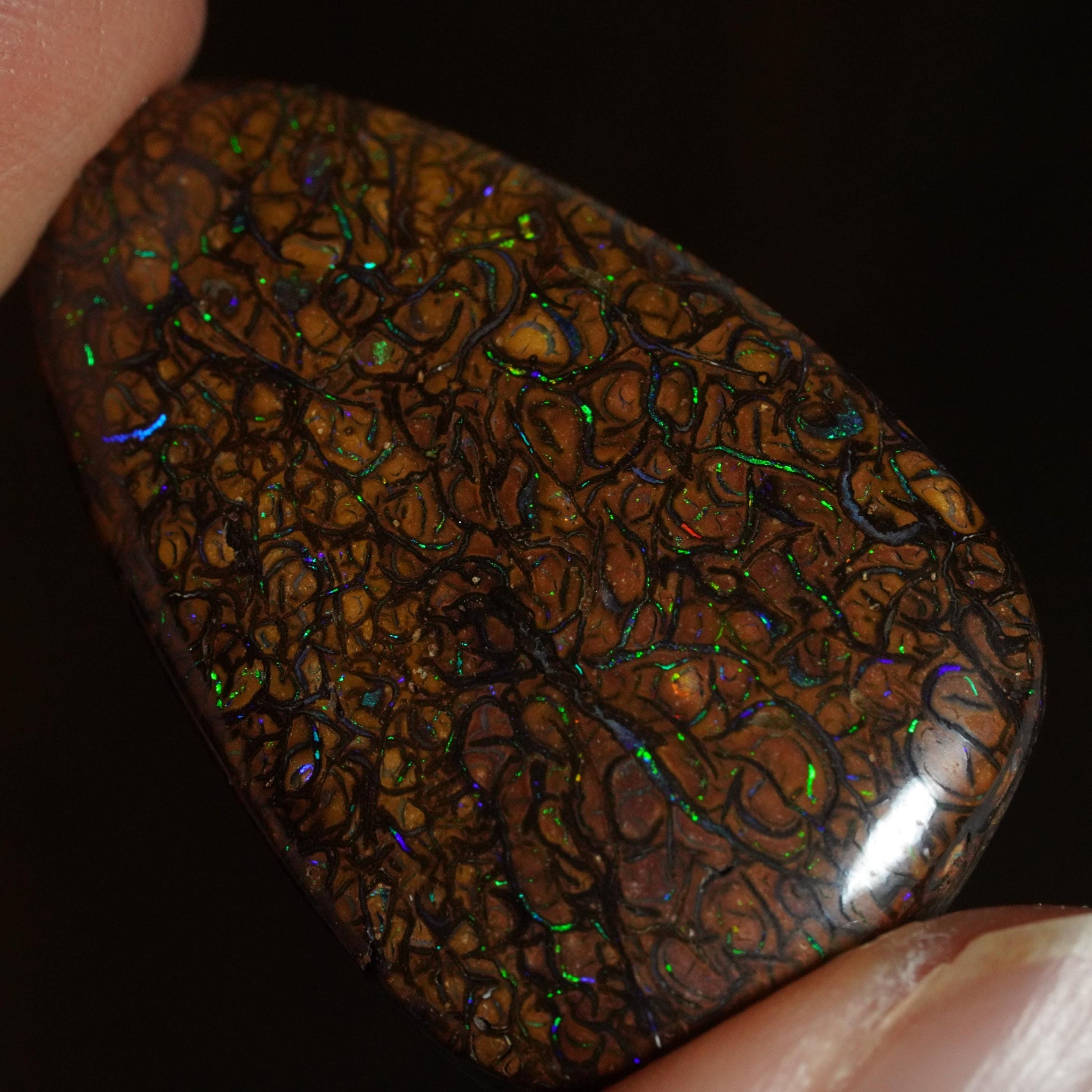 Boulder Opal Cut Stone