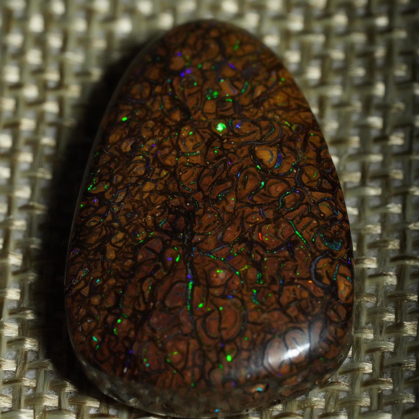 Boulder Opal Cut Stone