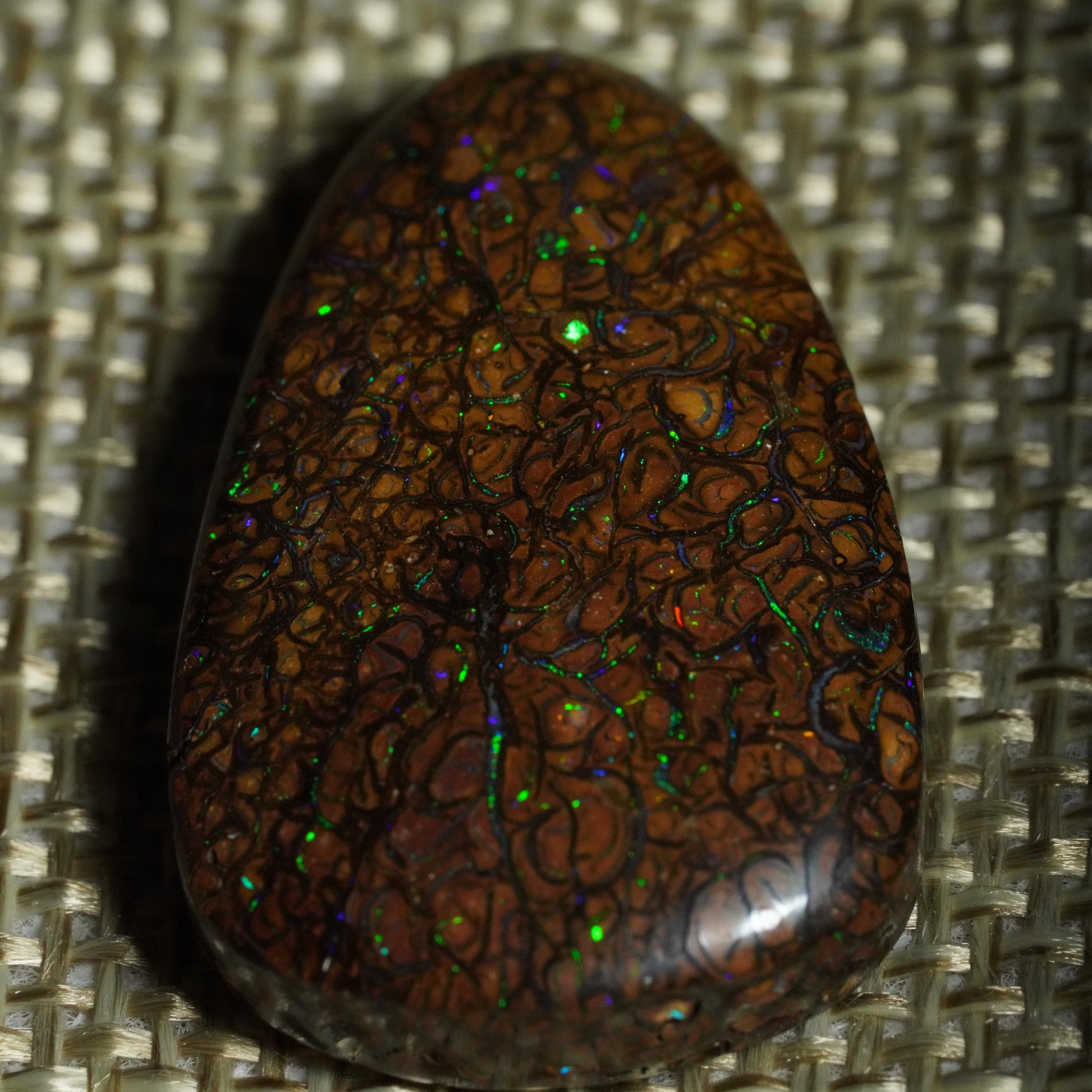 Boulder Opal Cut Stone