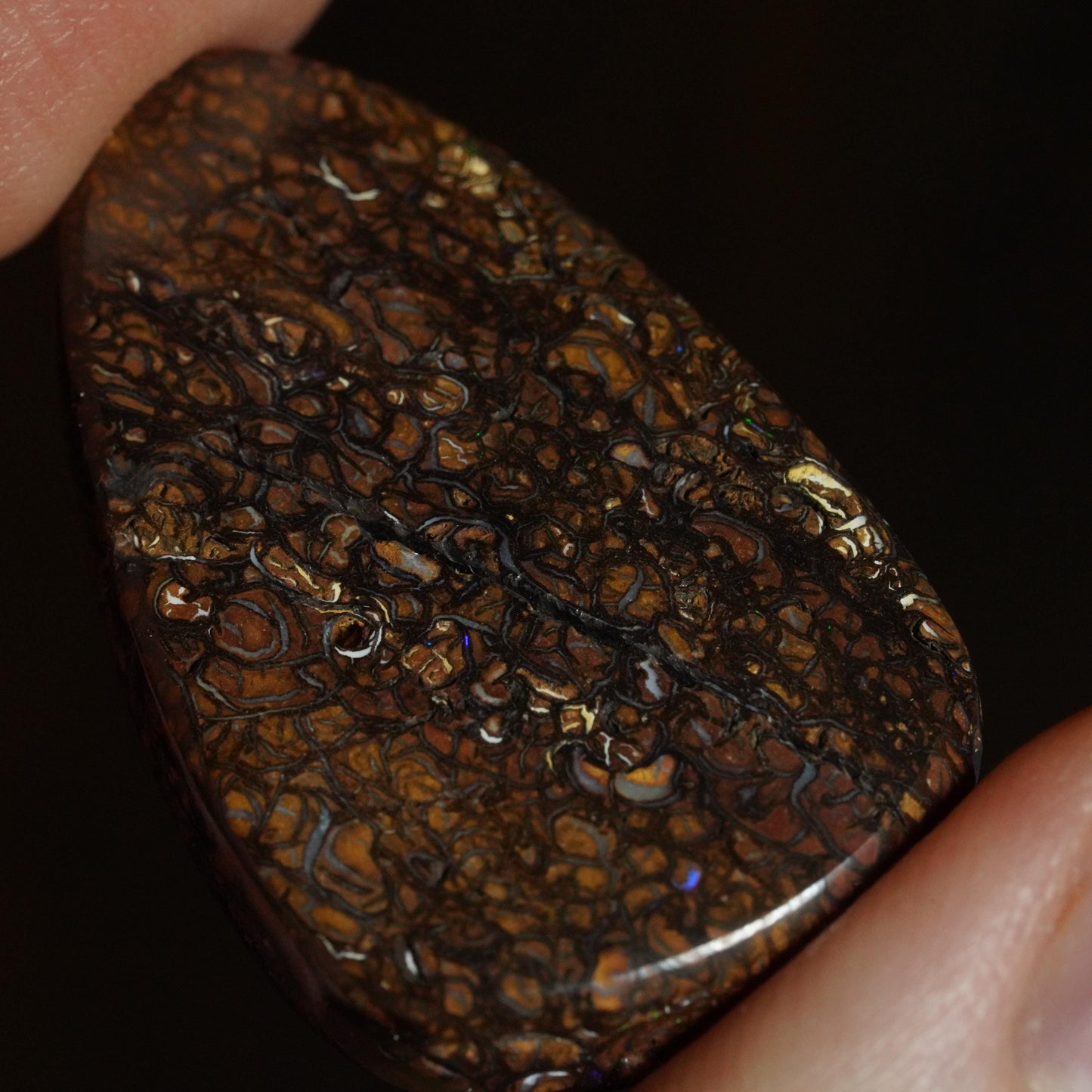 Boulder Opal Cut Stone