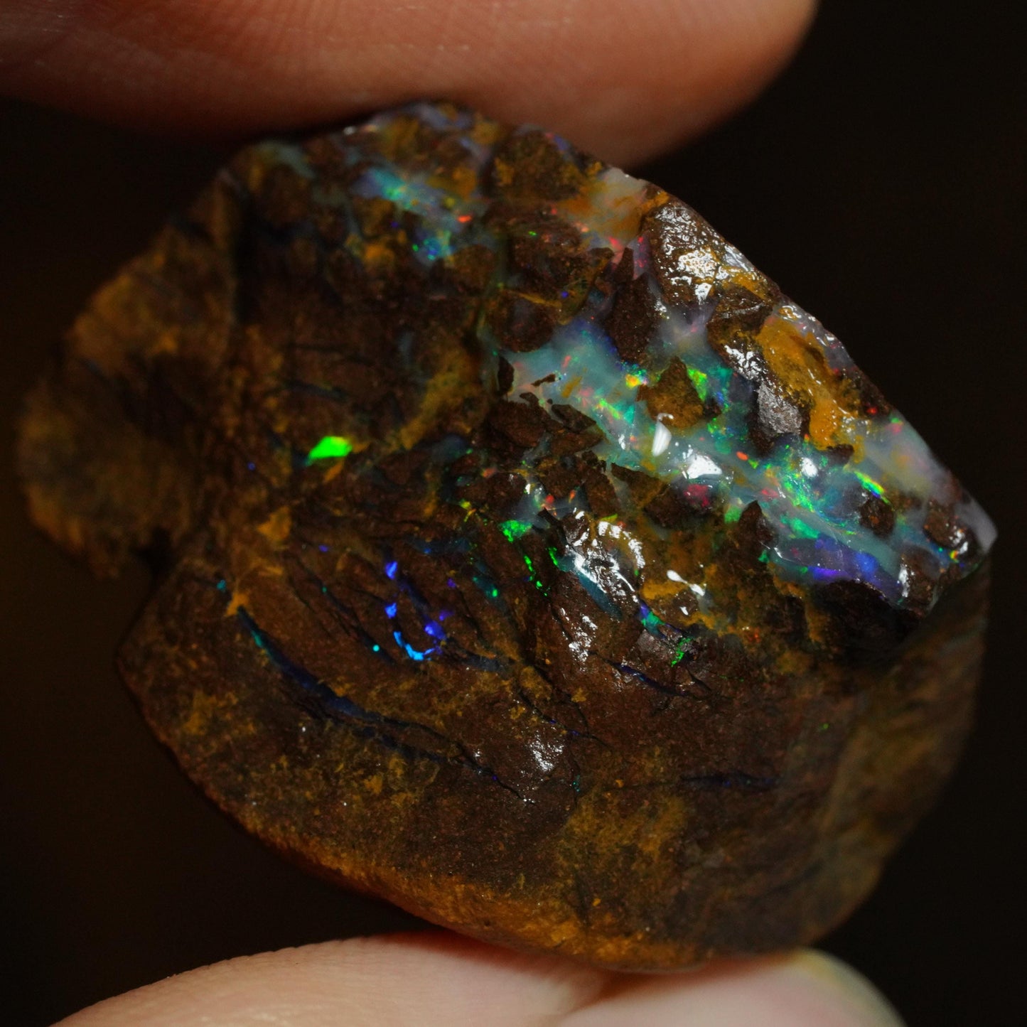 Rough Boulder Opal