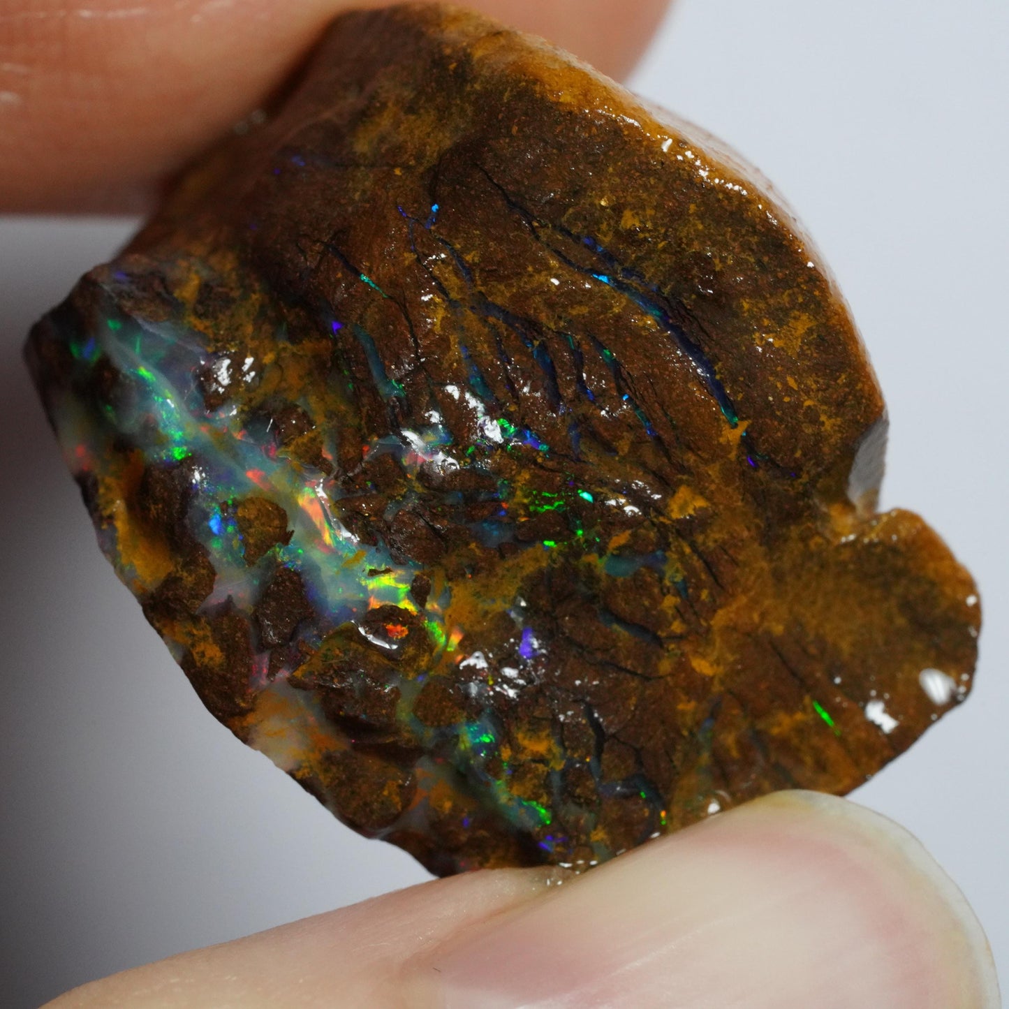 Rough Boulder Opal
