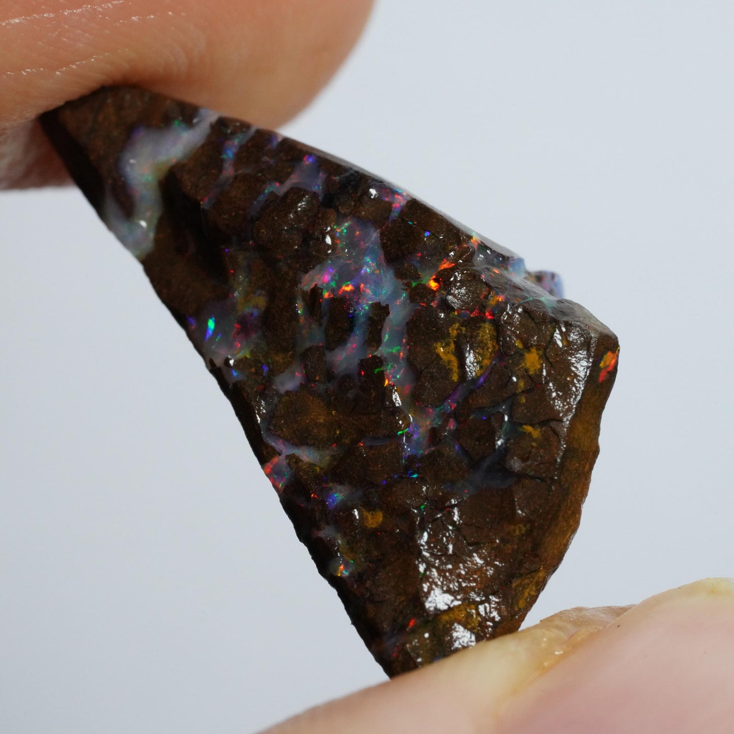 Rough Boulder Opal