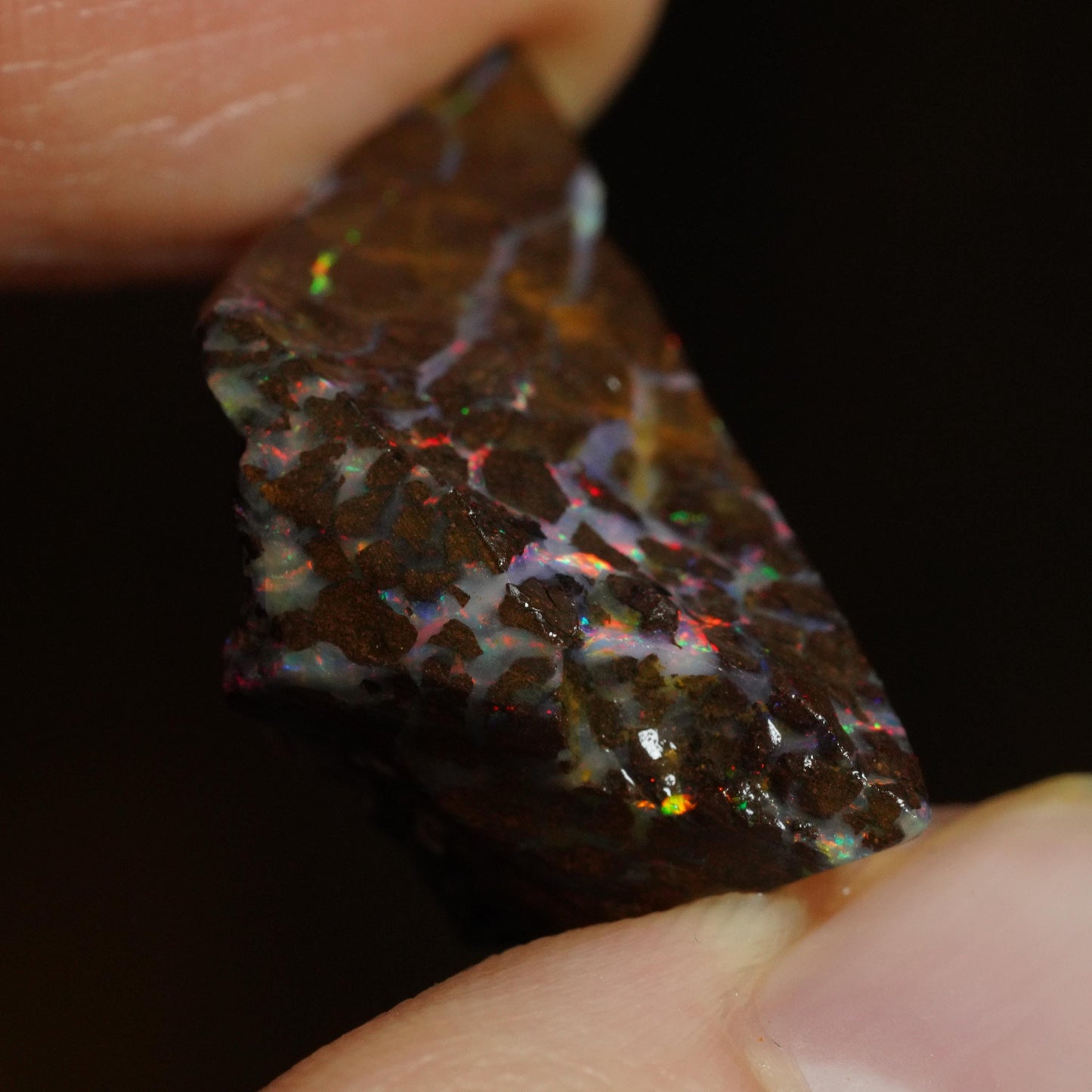 Rough Boulder Opal