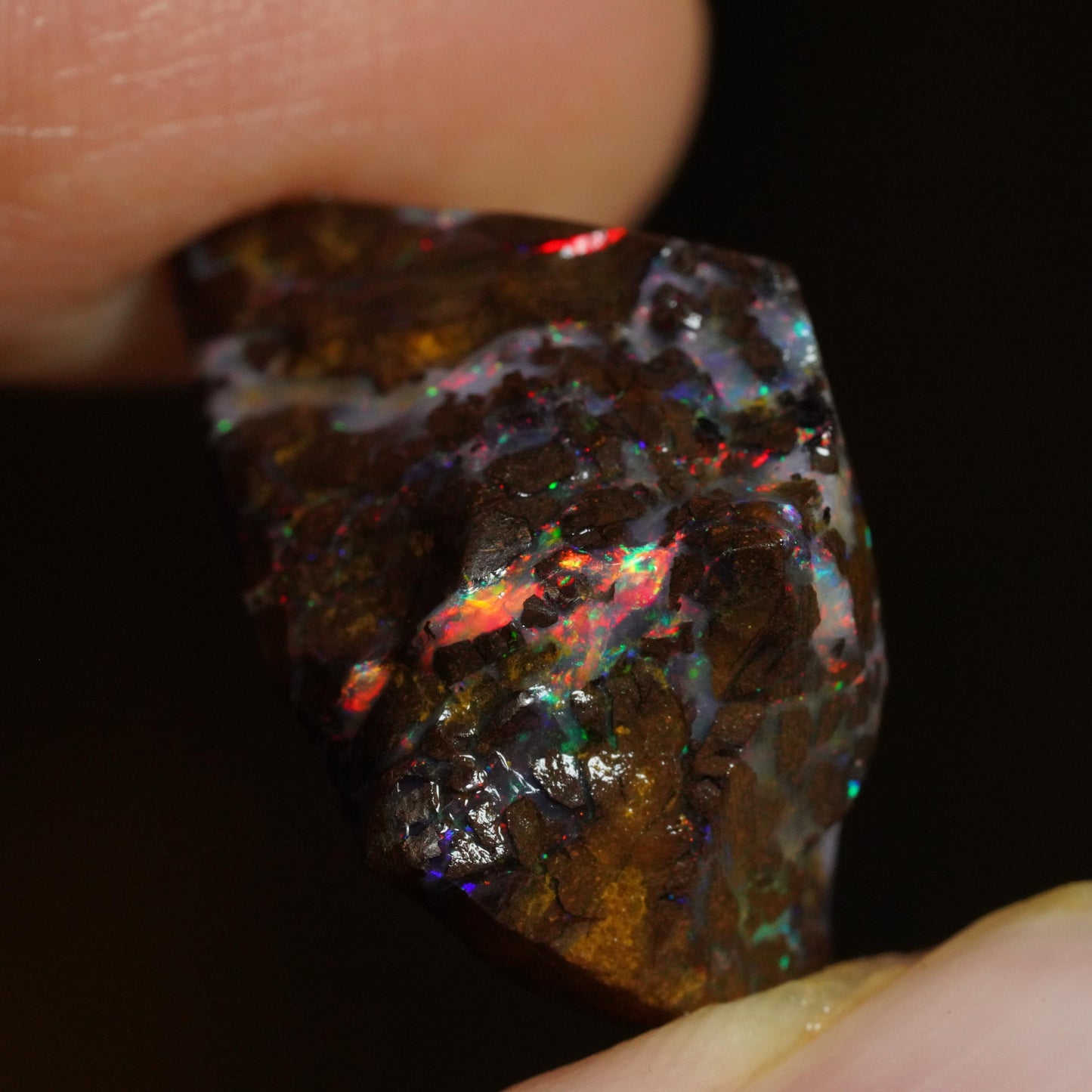 Rough Boulder Opal