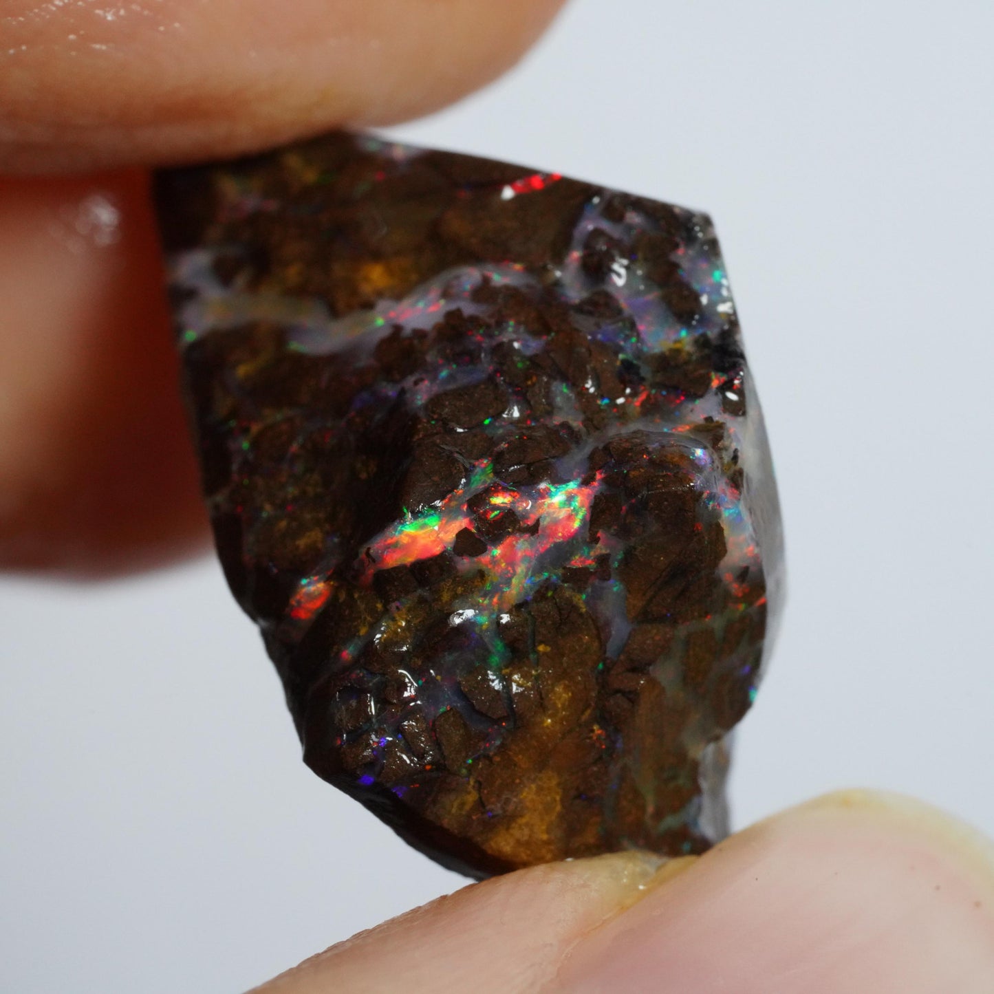 Rough Boulder Opal