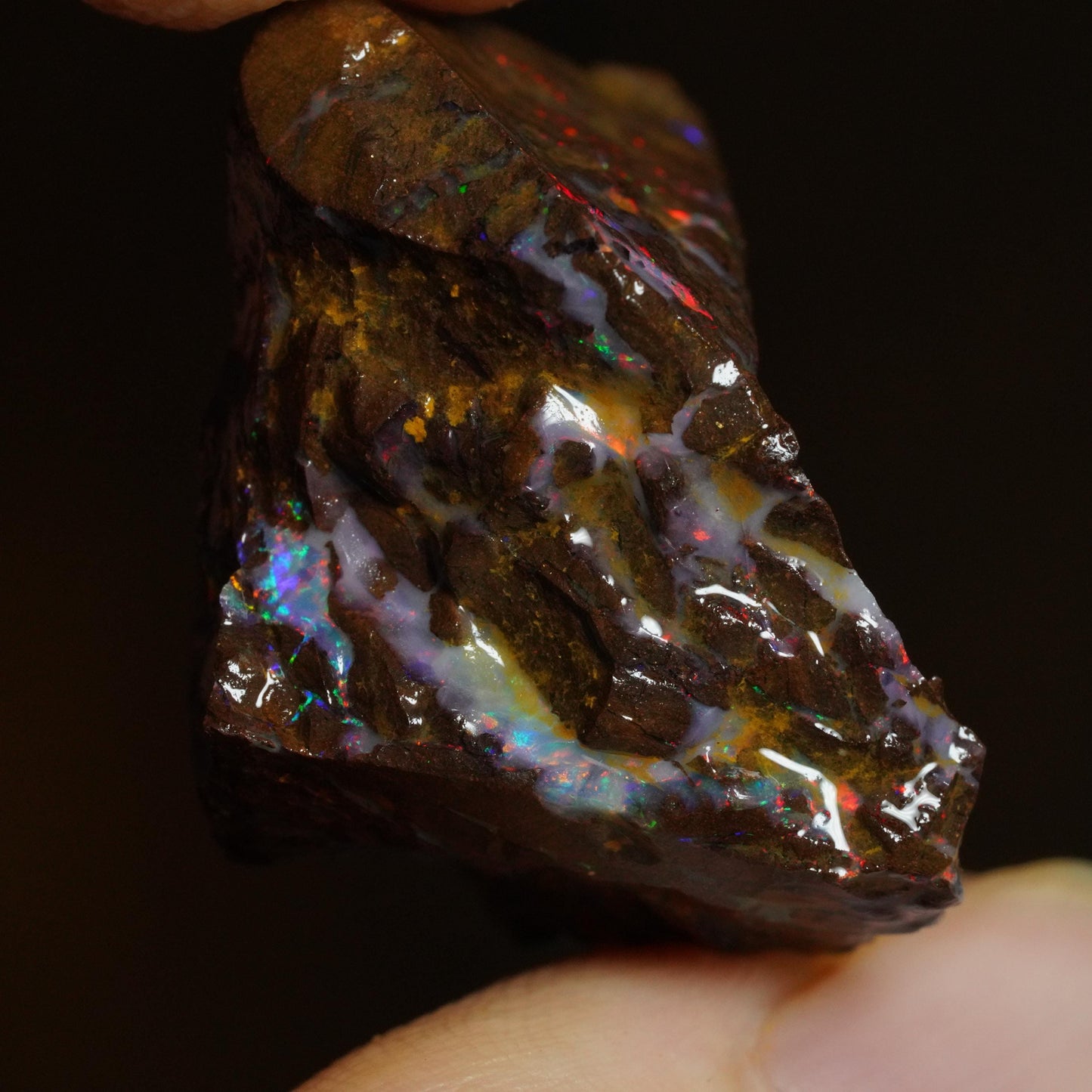 Rough Boulder Opal