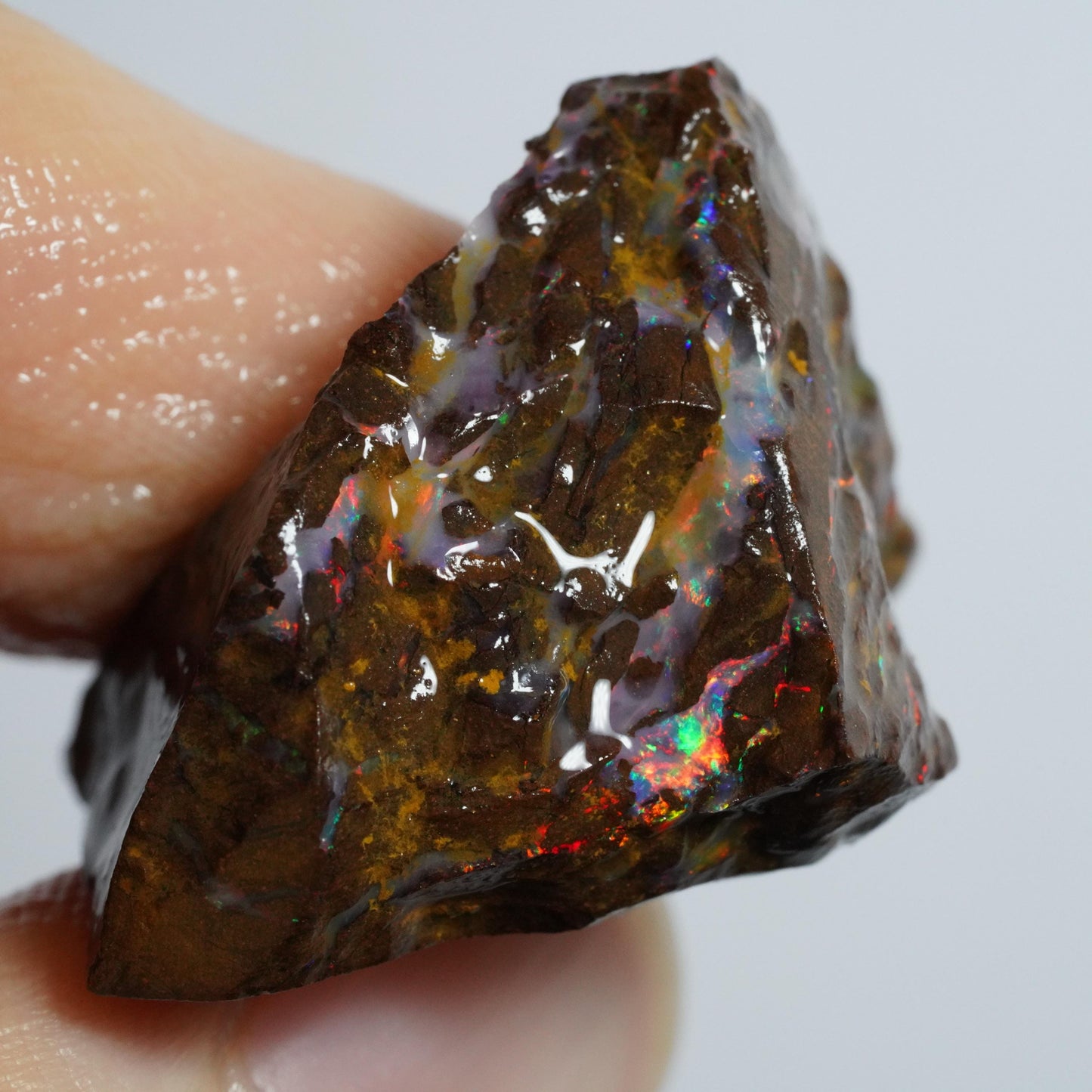 Rough Boulder Opal