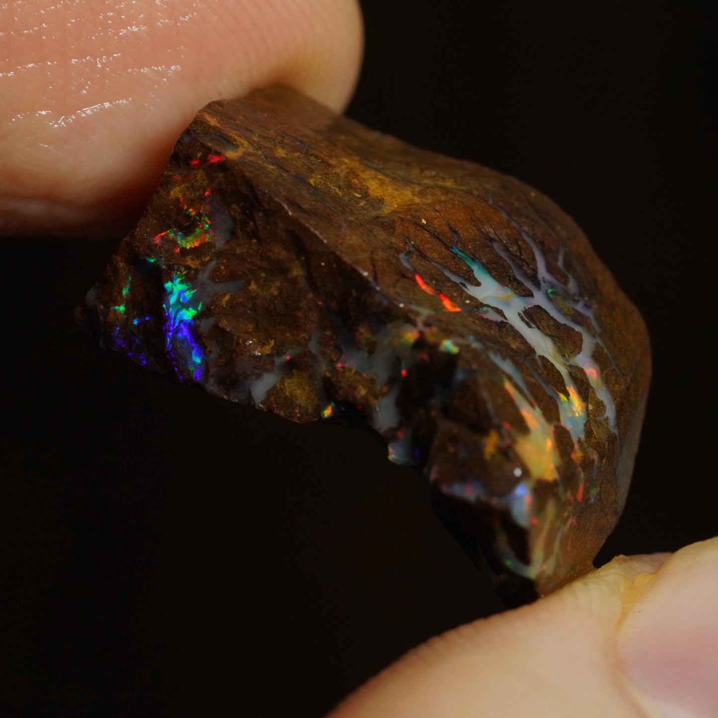 Rough Boulder Opal