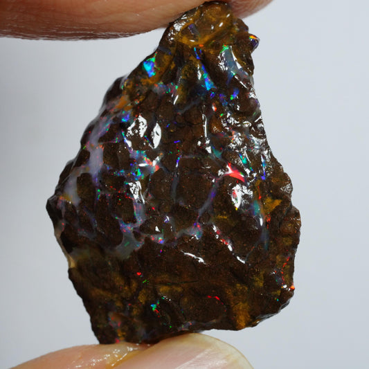 Rough Boulder Opal