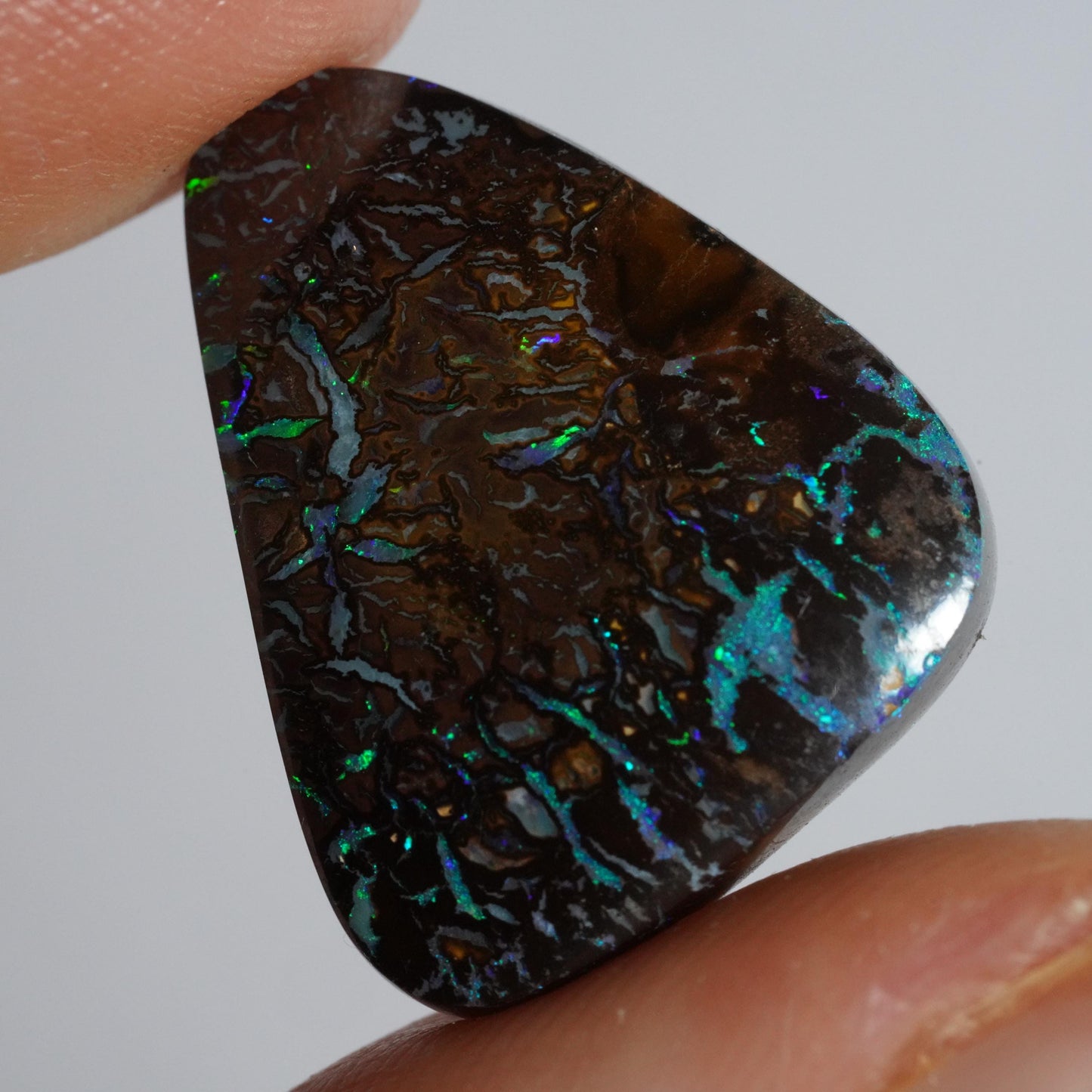 Boulder Opal Cut Stone