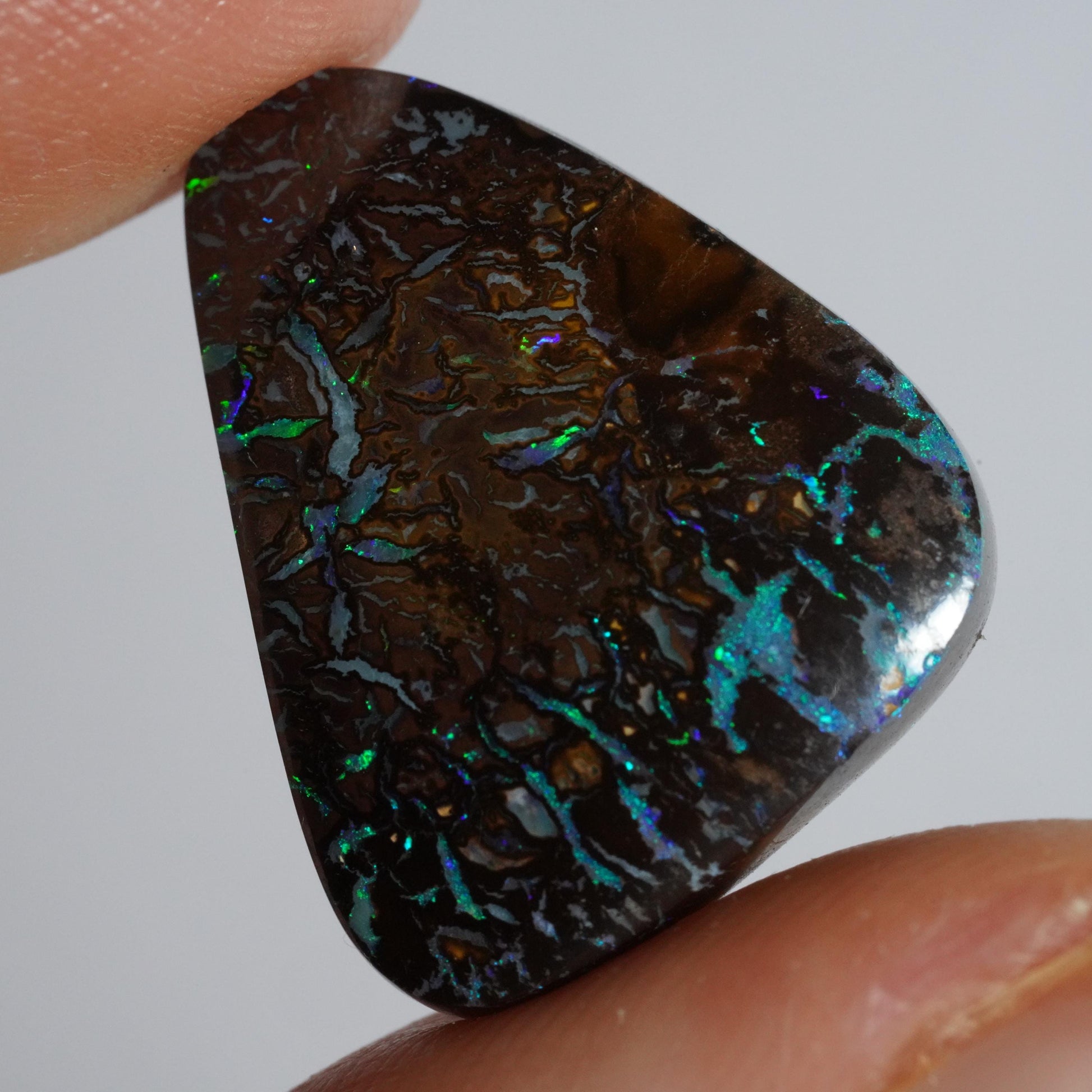 Boulder Opal Cut Stone