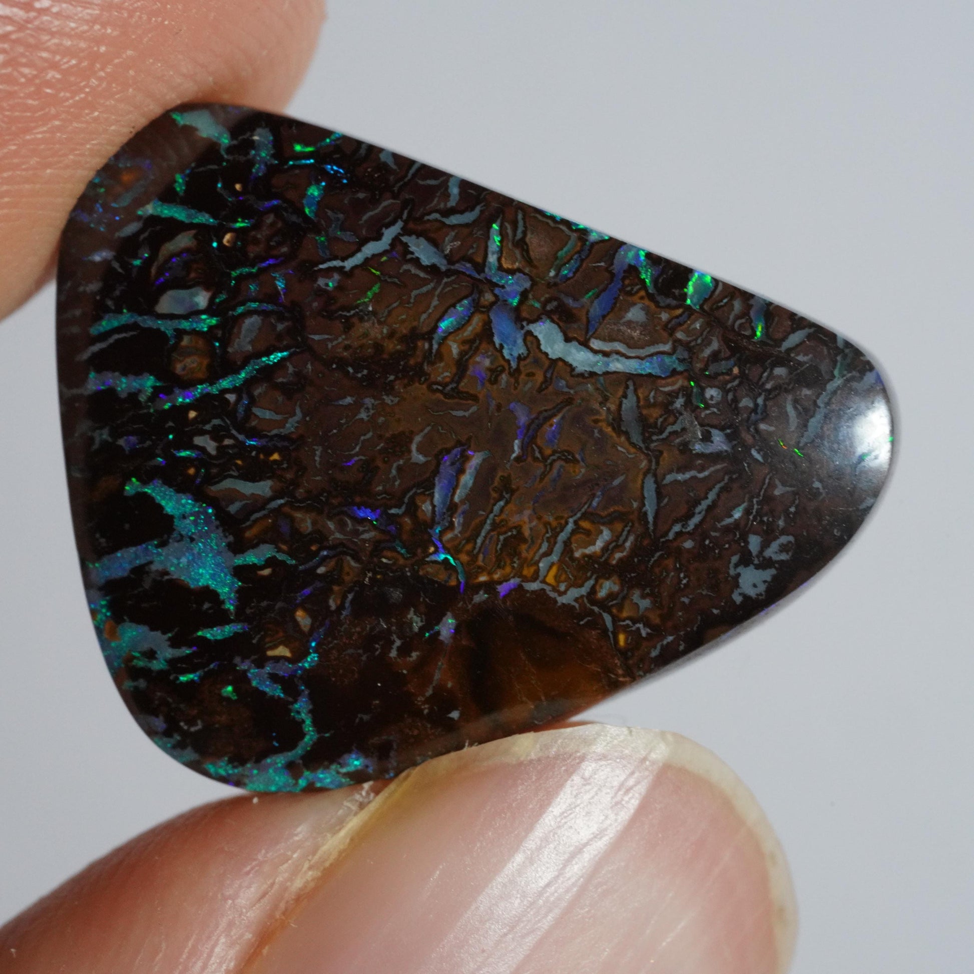 Boulder Opal Cut Stone