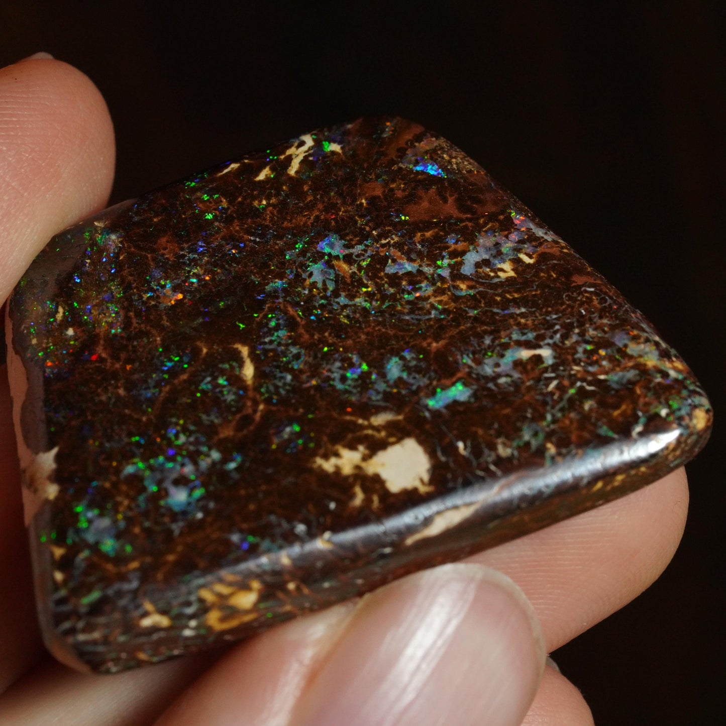 Boulder Opal Cut Stone
