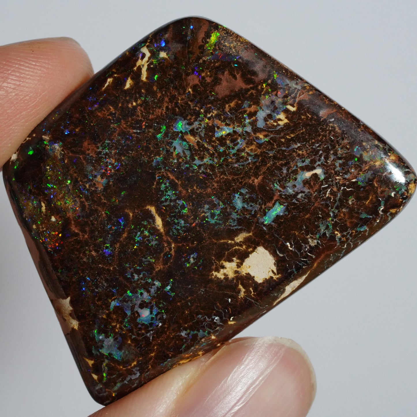 Boulder Opal Cut Stone