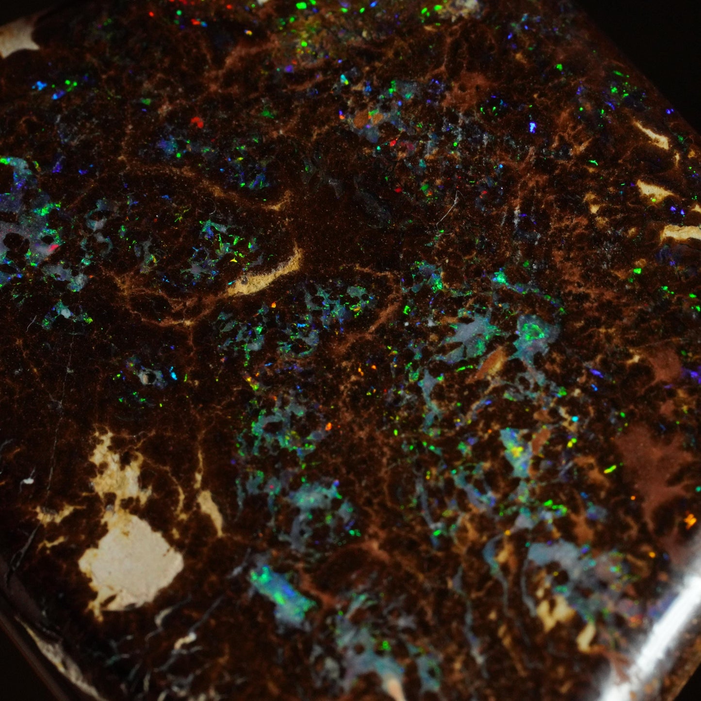 Boulder Opal Cut Stone