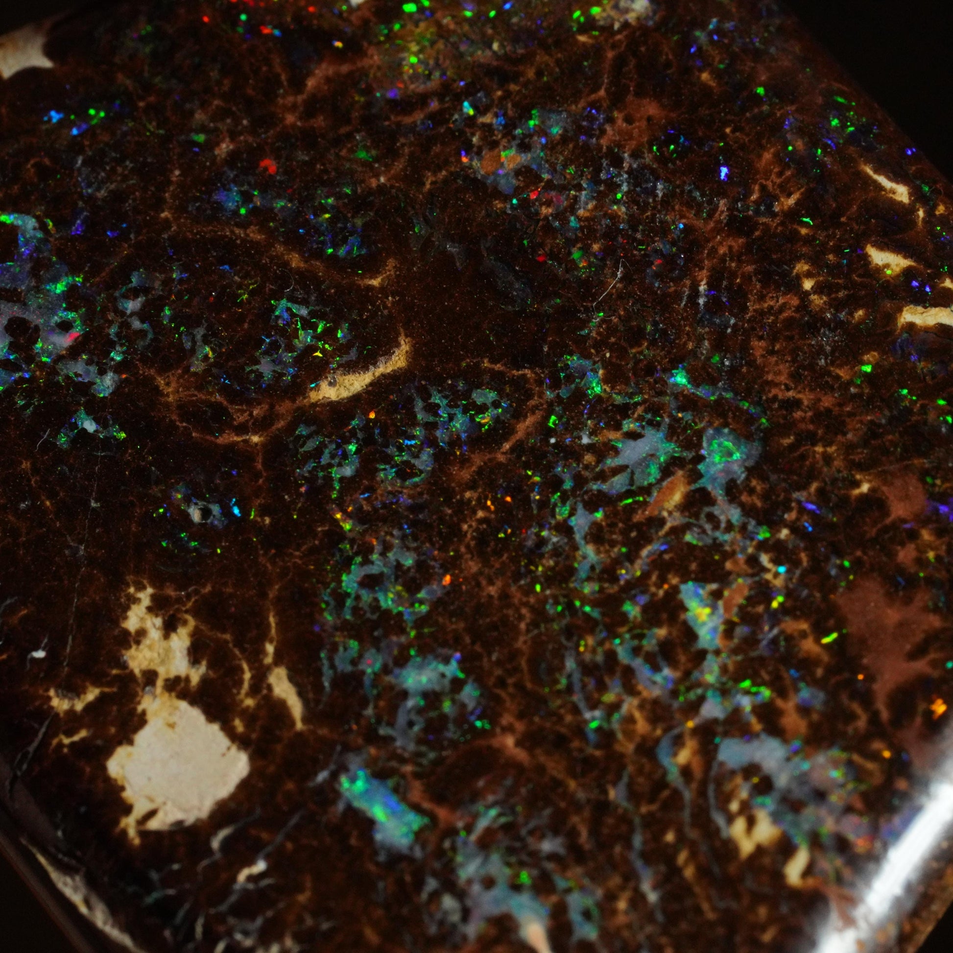 Boulder Opal Cut Stone