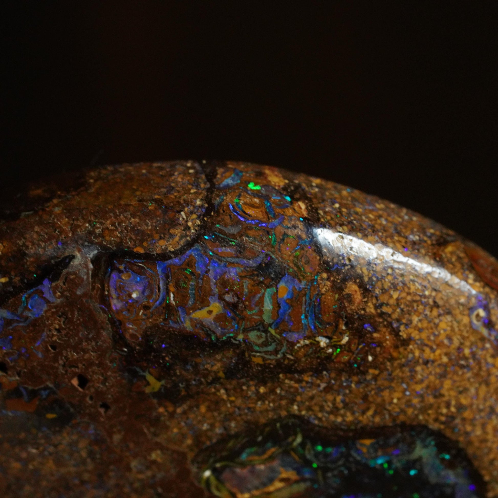 Boulder Opal Cut Stone